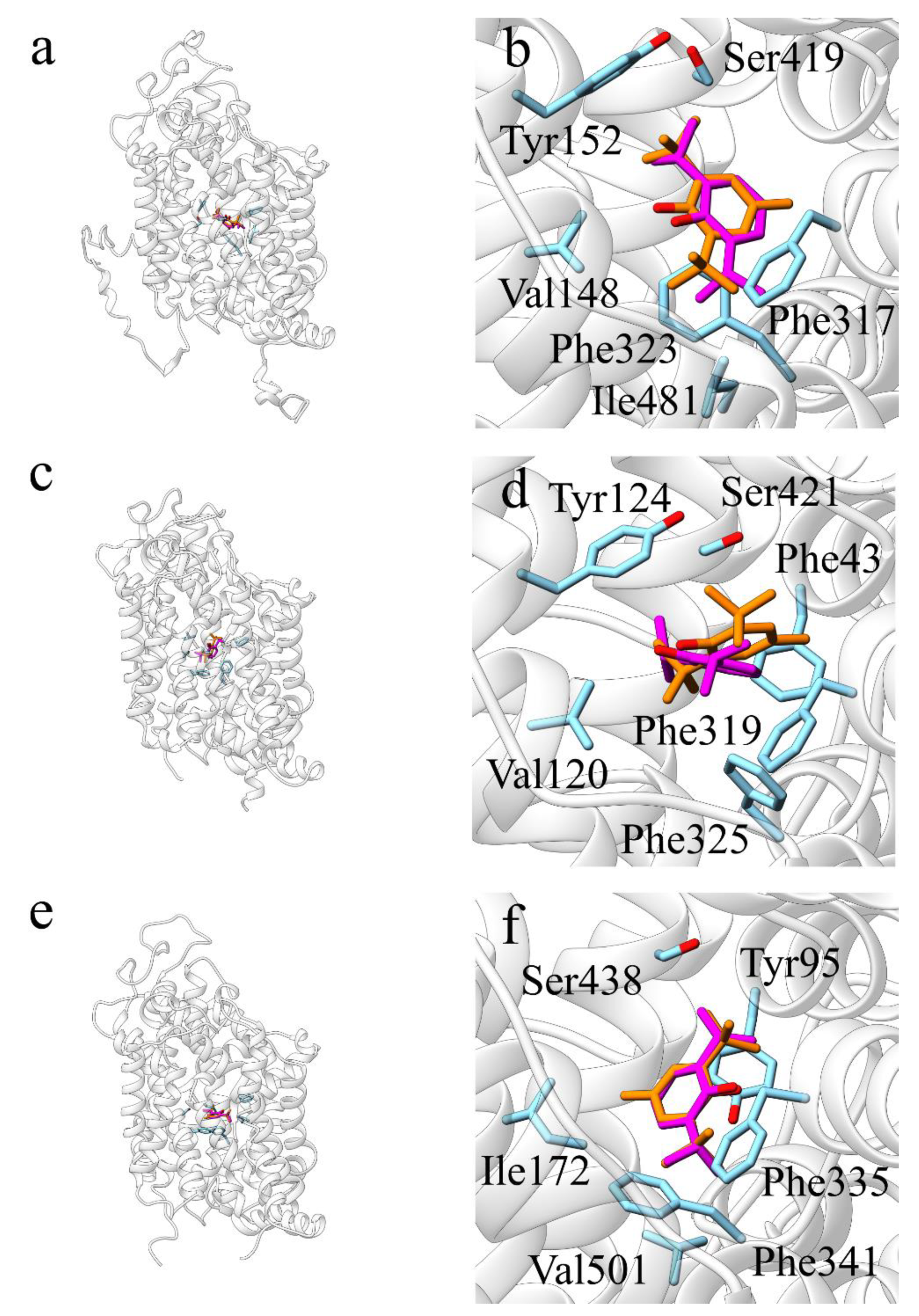 Molecules 25 02229 g004 Molecules 25 02229 g004