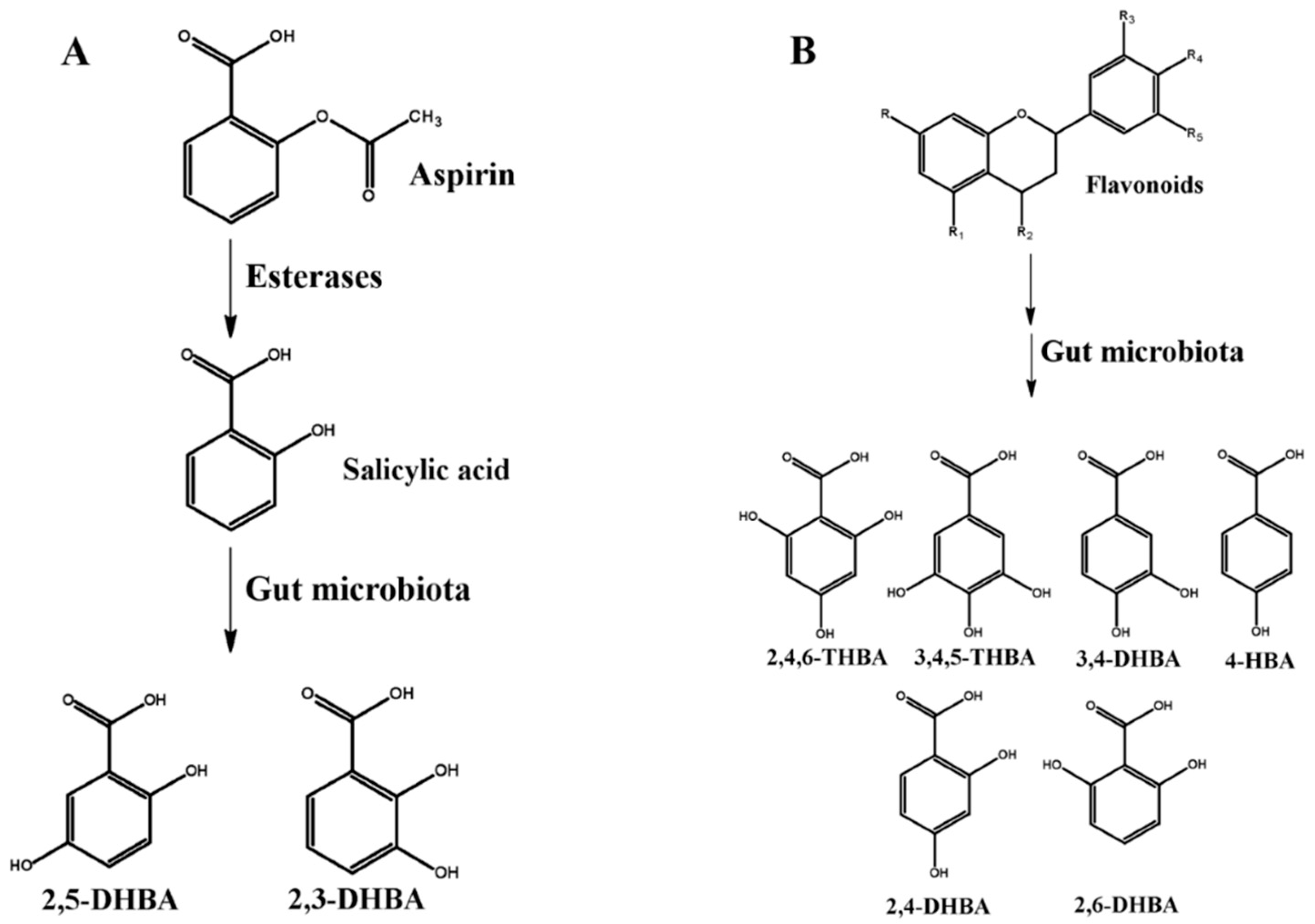 Molecules 25 02243 g002