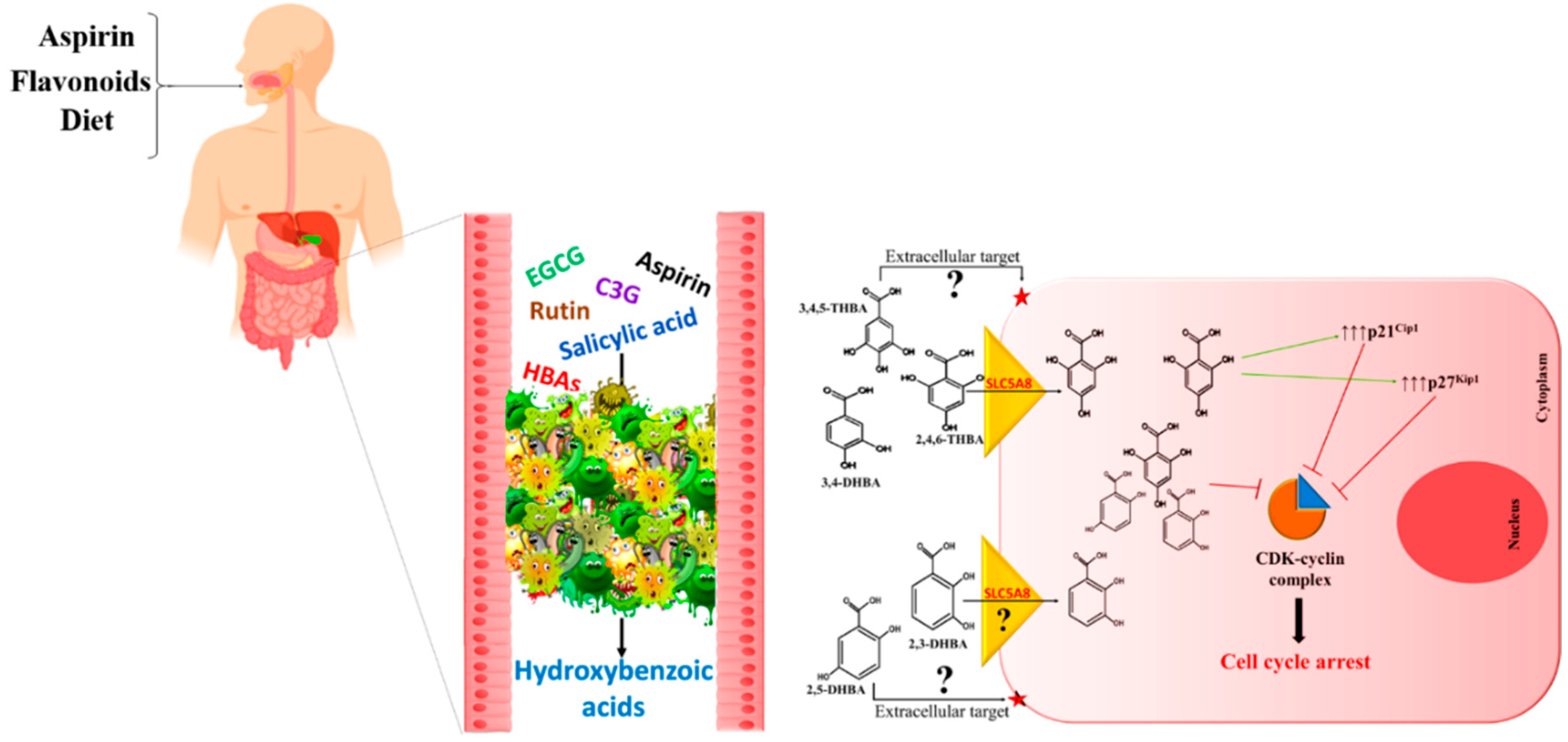 Molecules 25 02243 g003