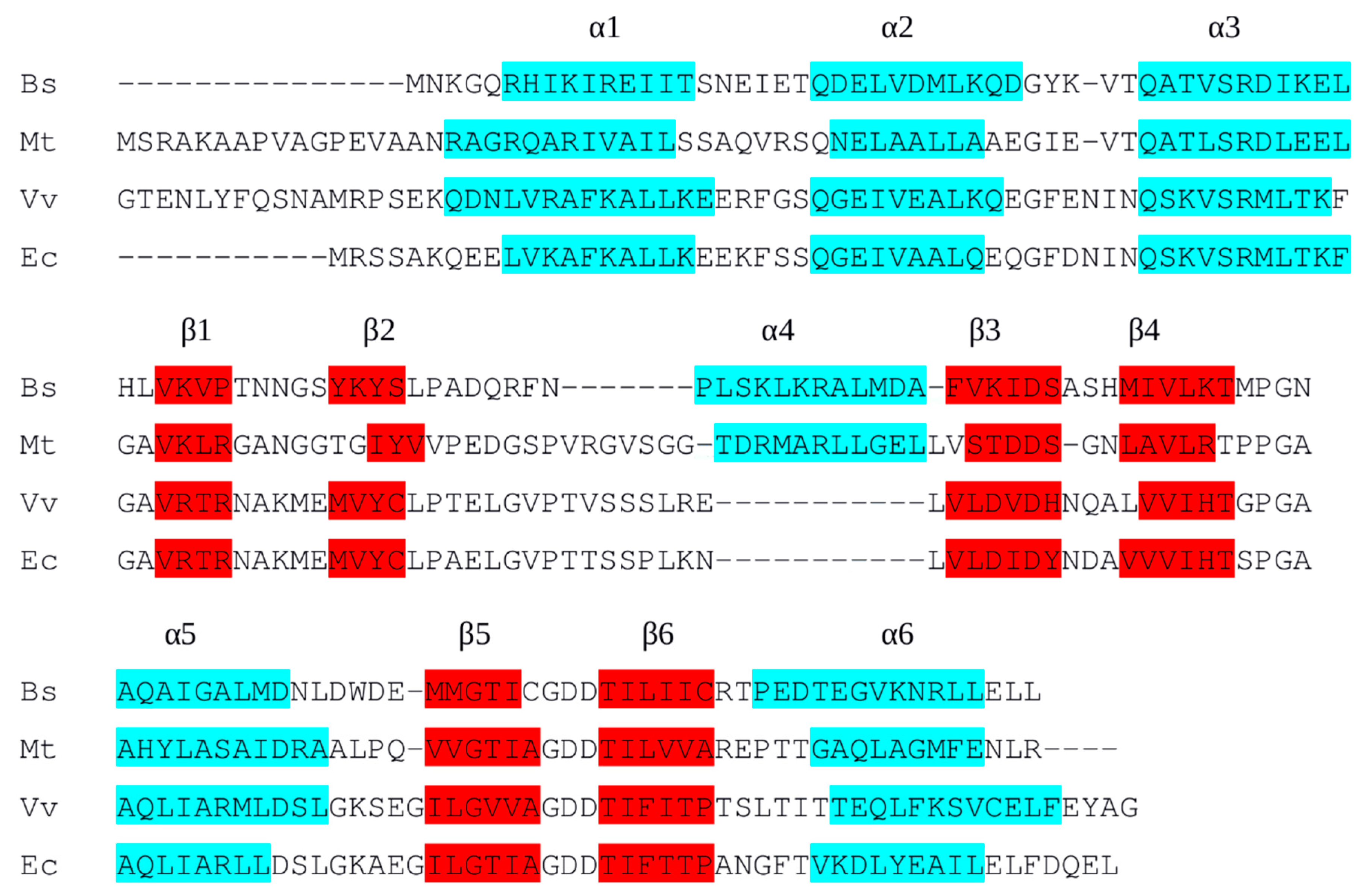 Molecules 25 02247 g001