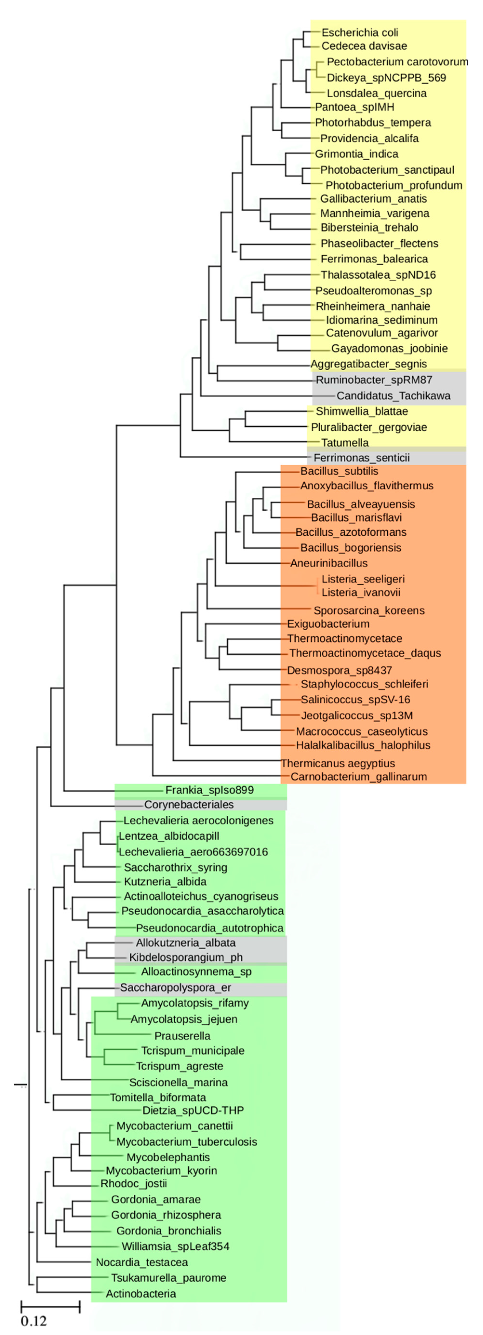 Molecules 25 02247 g002