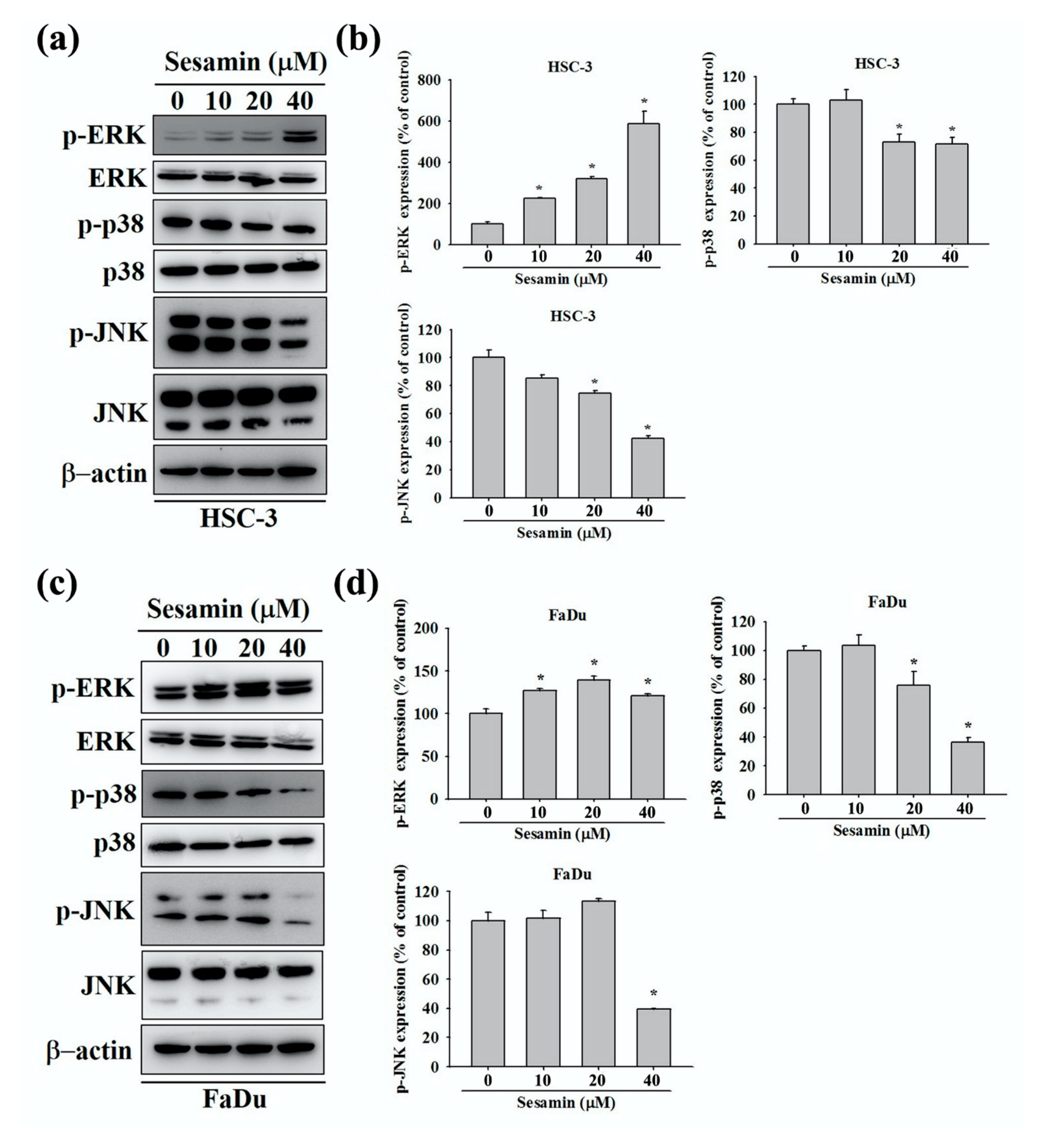 Molecules 25 02248 g005