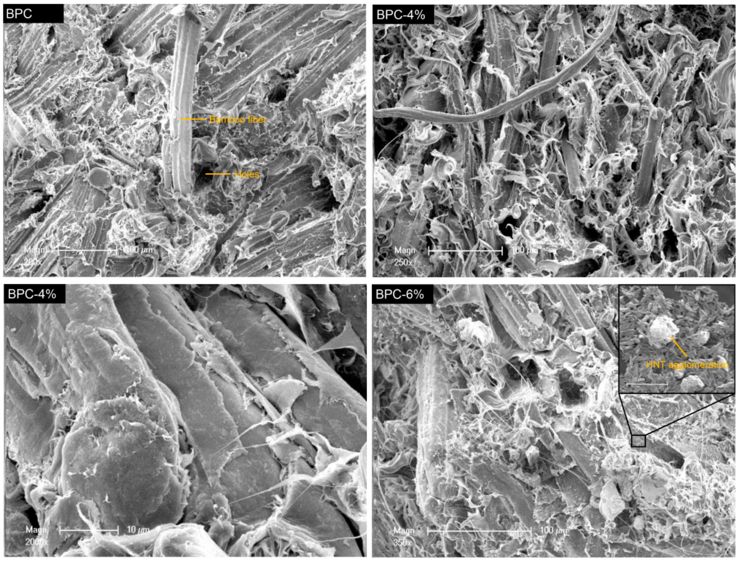 Molecules 25 02259 g002 Molecules 25 02259 g002