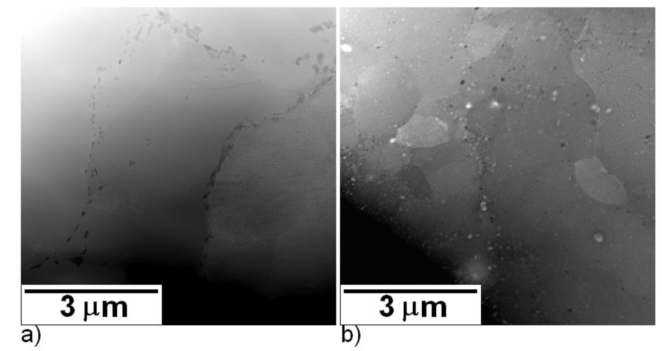 Molecules 25 02263 g008 Molecules 25 02263 g008