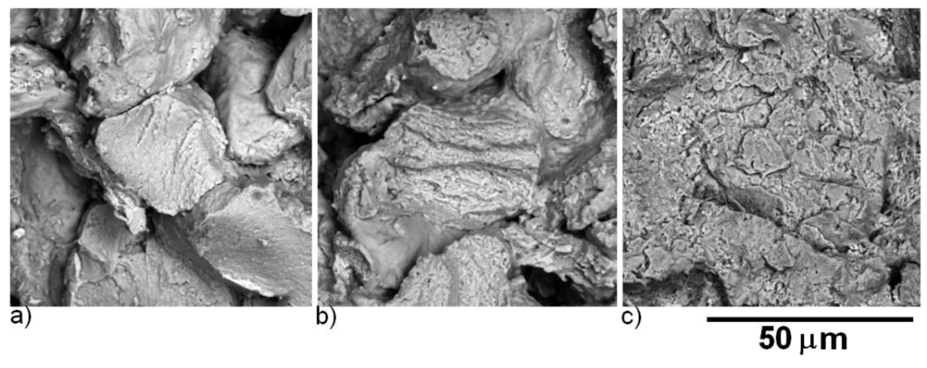 Molecules 25 02263 g015 Molecules 25 02263 g015