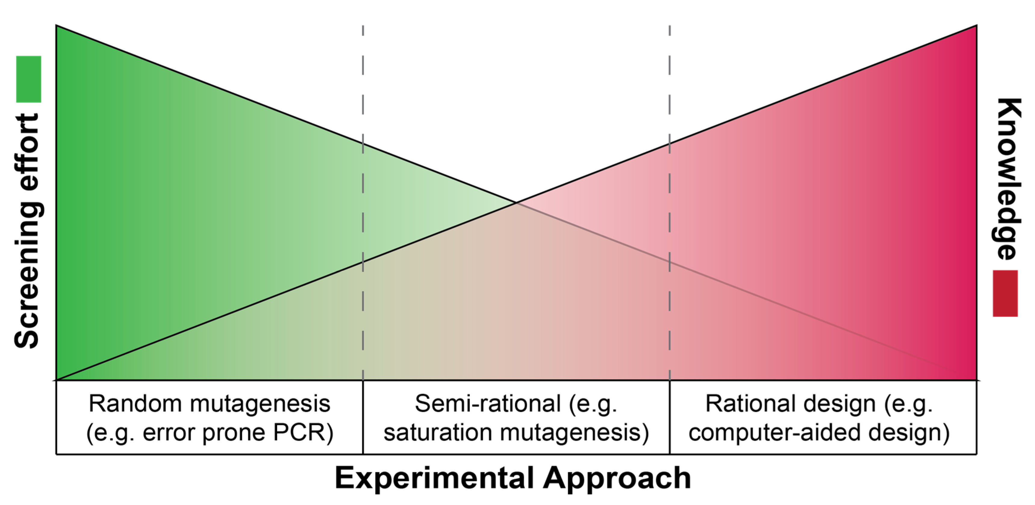 Molecules 25 02265 g002