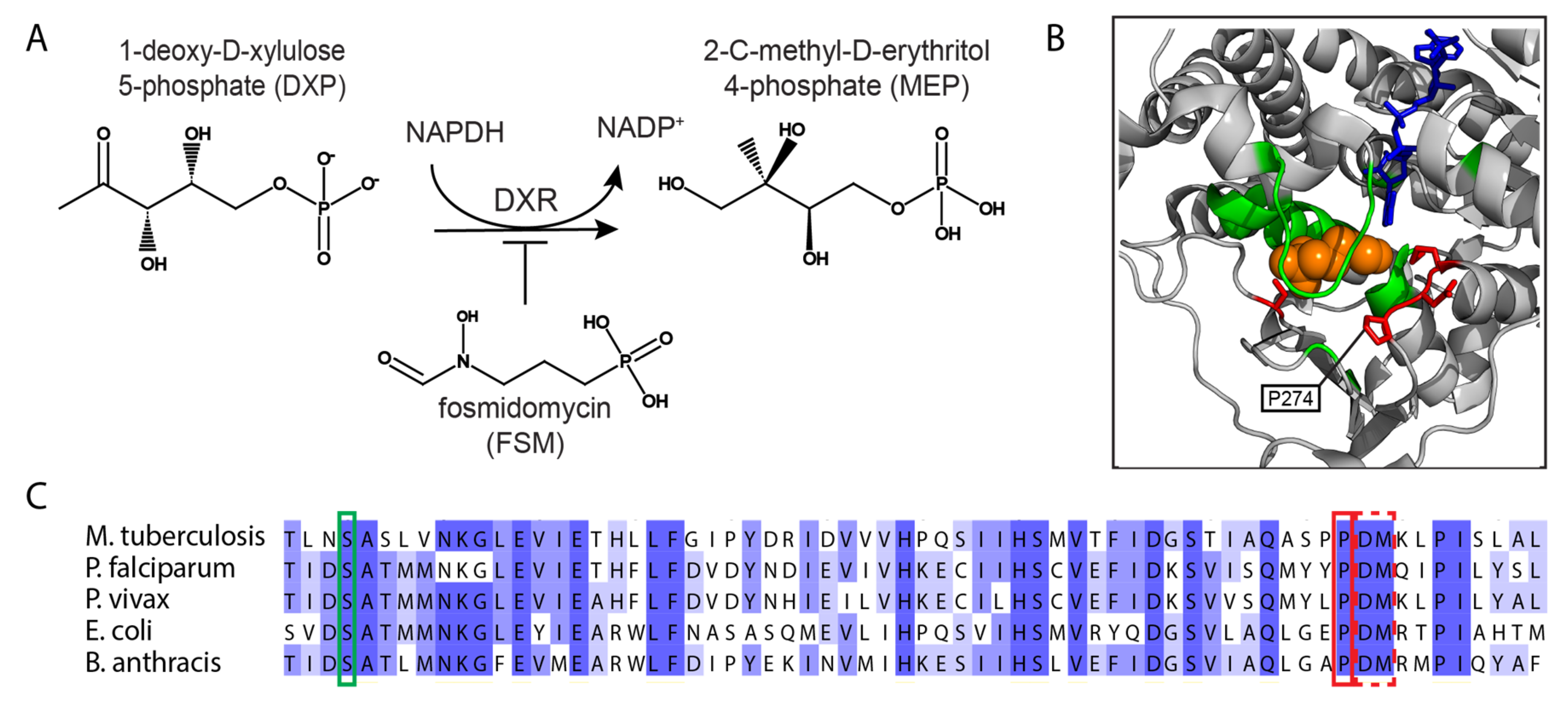 Molecules 25 02265 g004