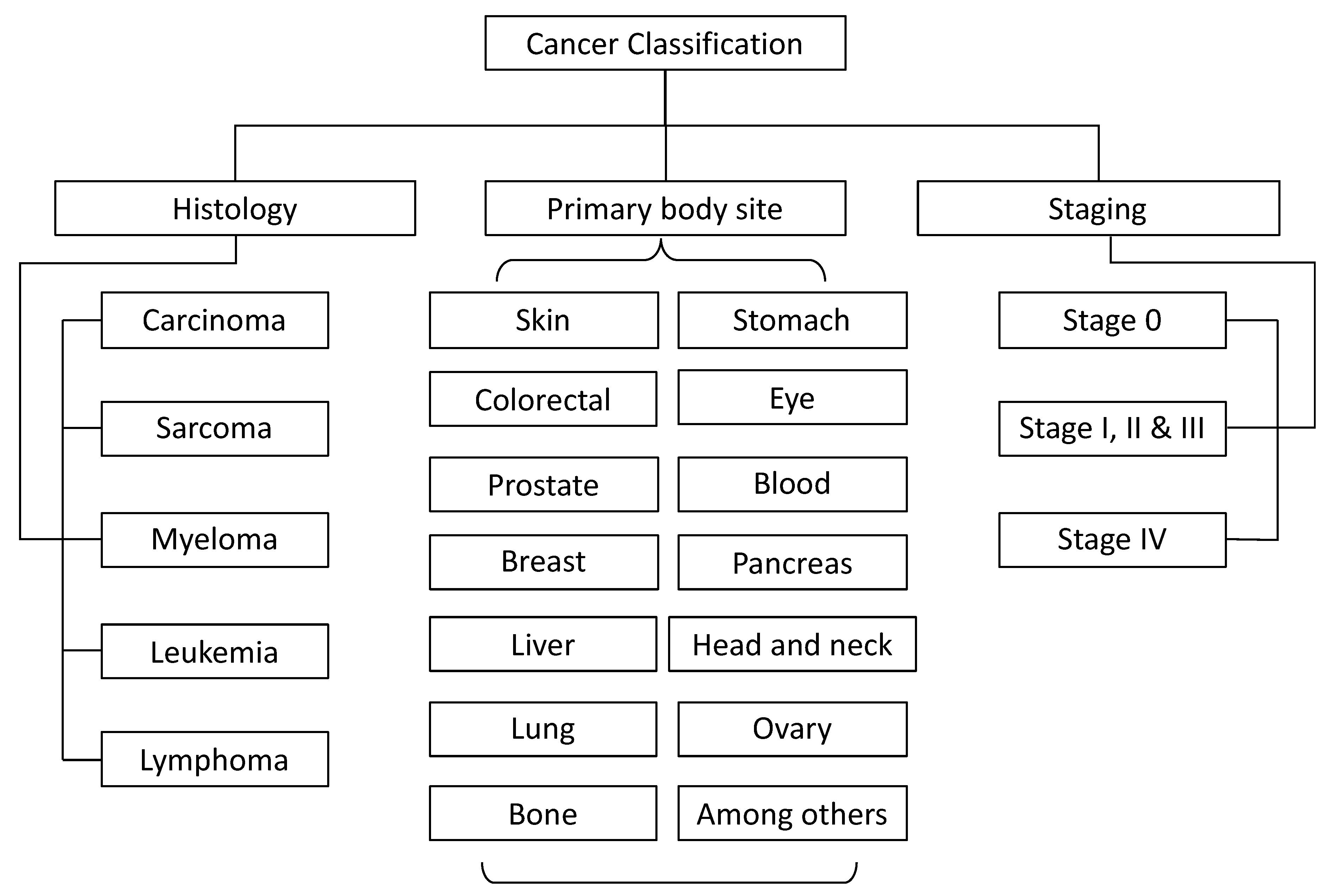 Molecules 25 02270 g004