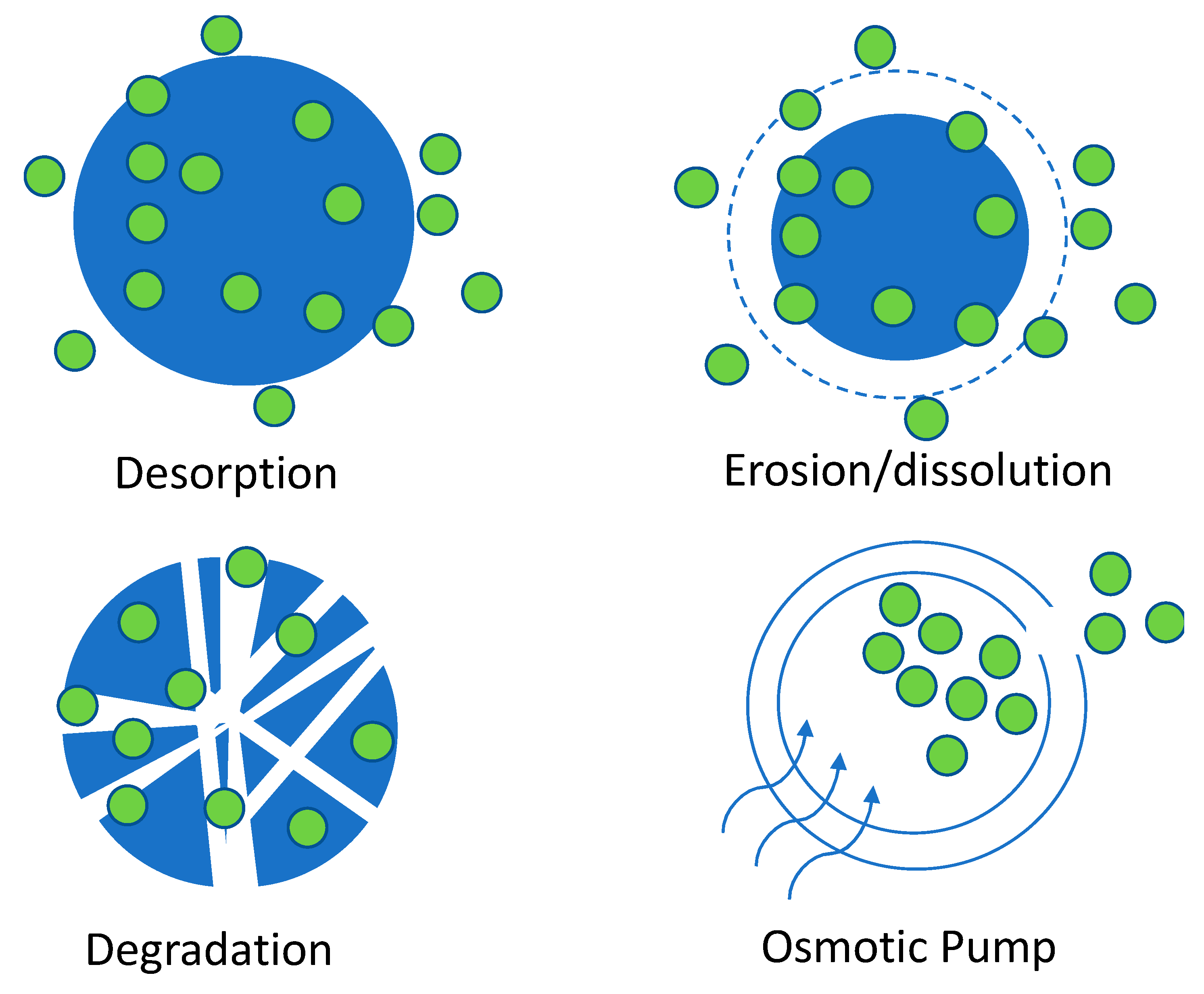 Molecules 25 02270 g006