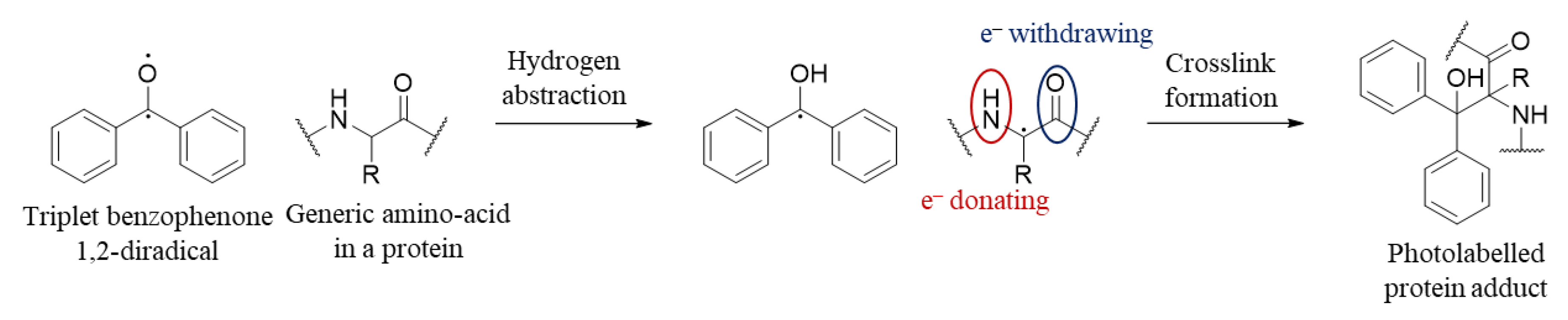 Molecules 25 02285 g002 Molecules 25 02285 g002