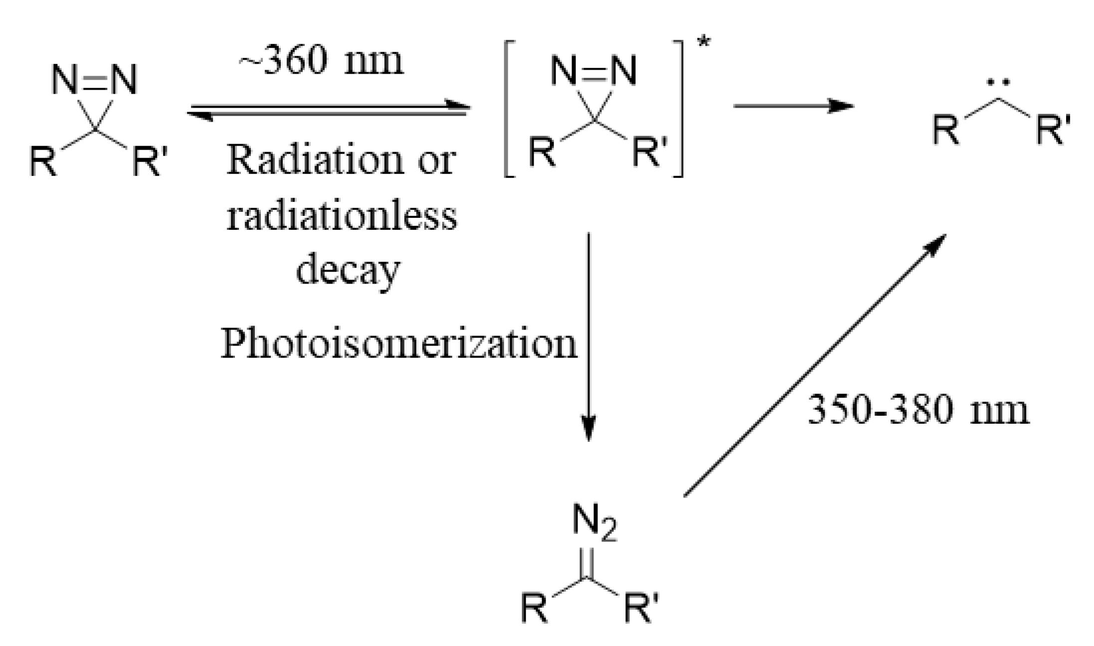 Molecules 25 02285 g003 Molecules 25 02285 g003