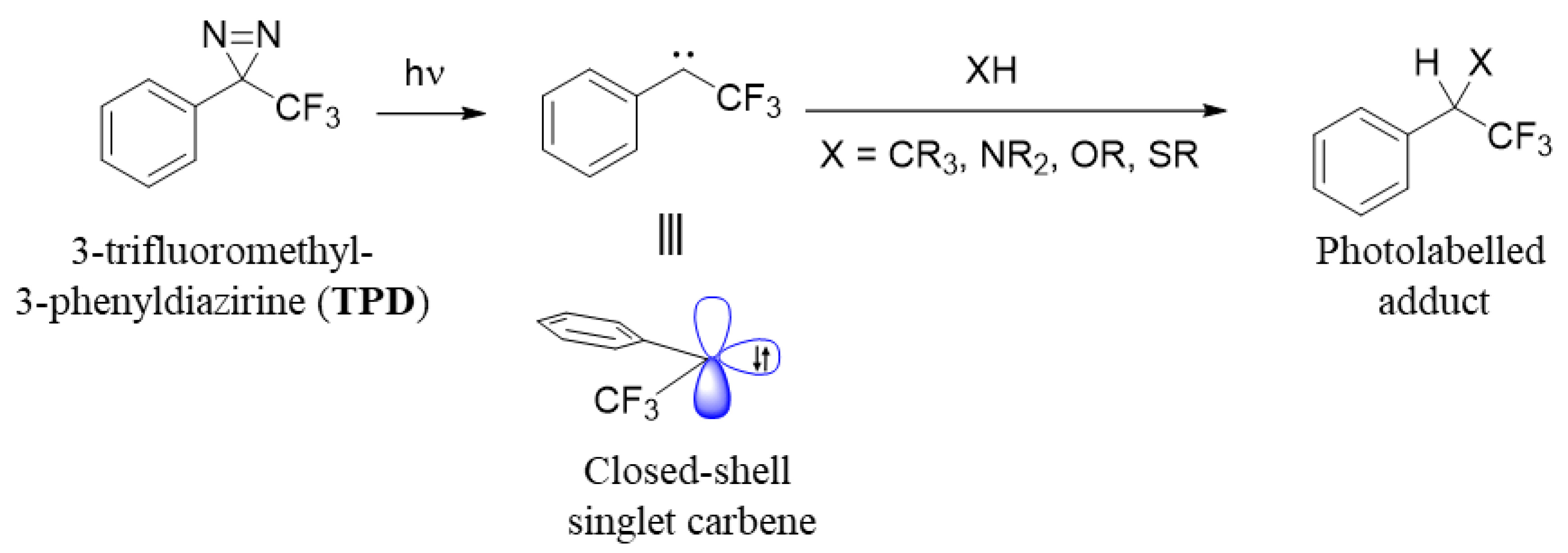 Molecules 25 02285 g005 Molecules 25 02285 g005