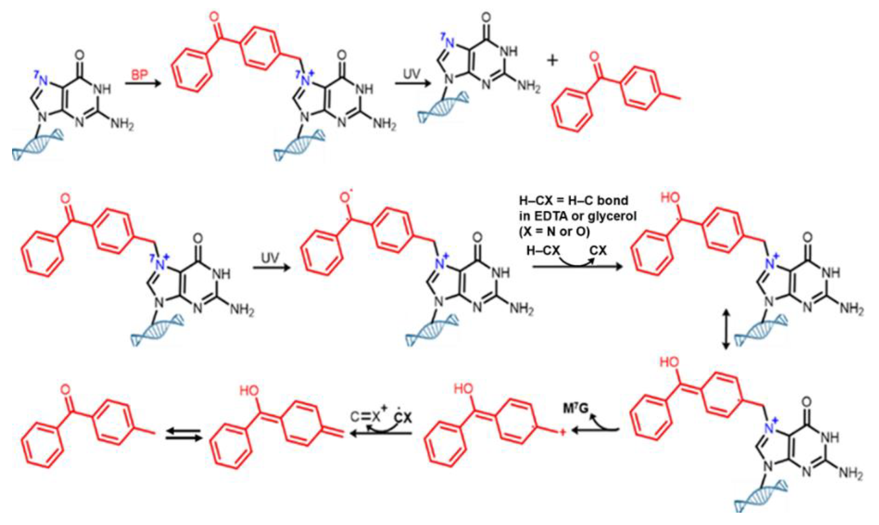Molecules 25 02285 g010 Molecules 25 02285 g010
