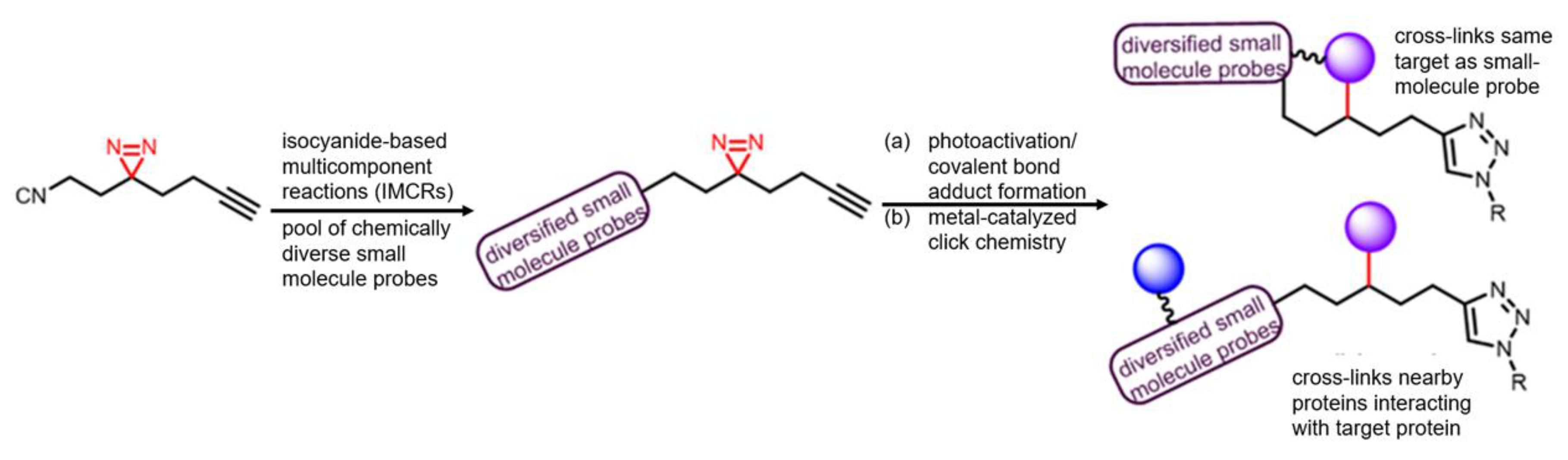 Molecules 25 02285 g012 Molecules 25 02285 g012