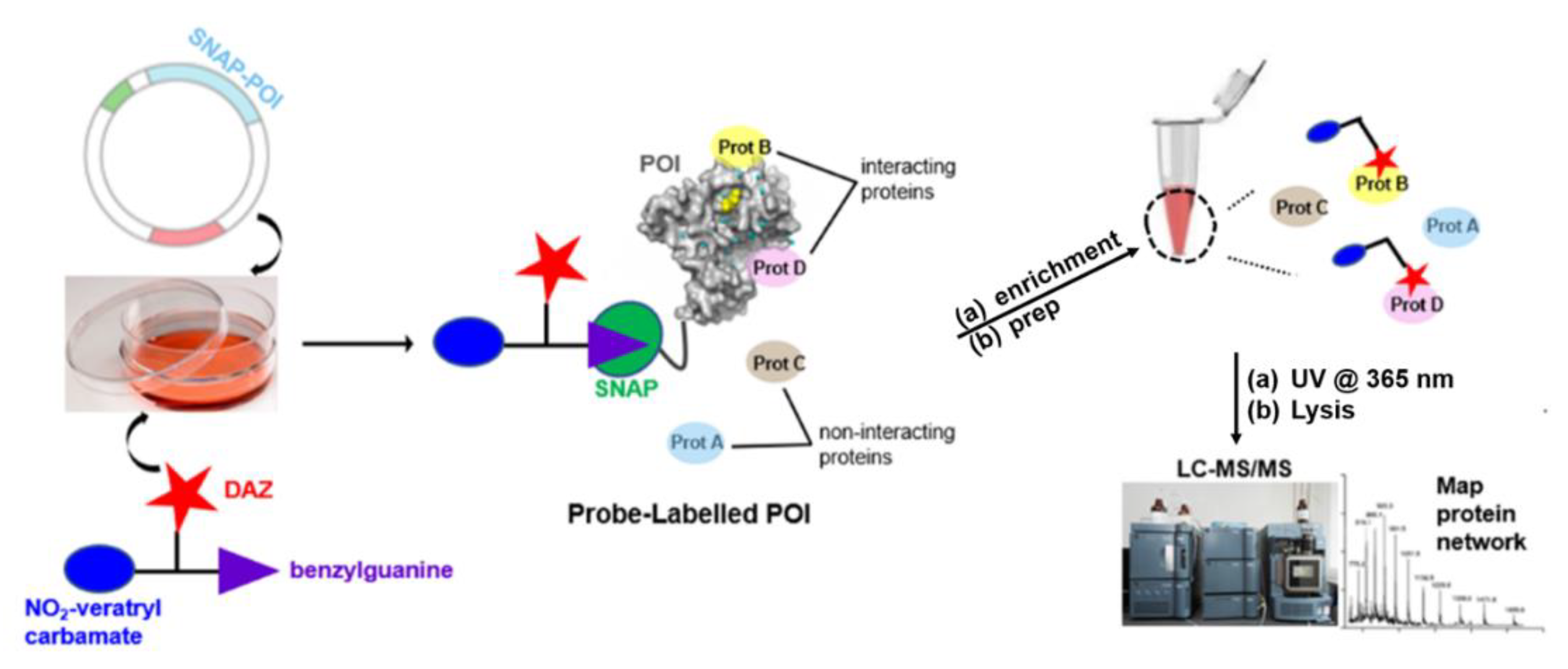 Molecules 25 02285 g016 Molecules 25 02285 g016