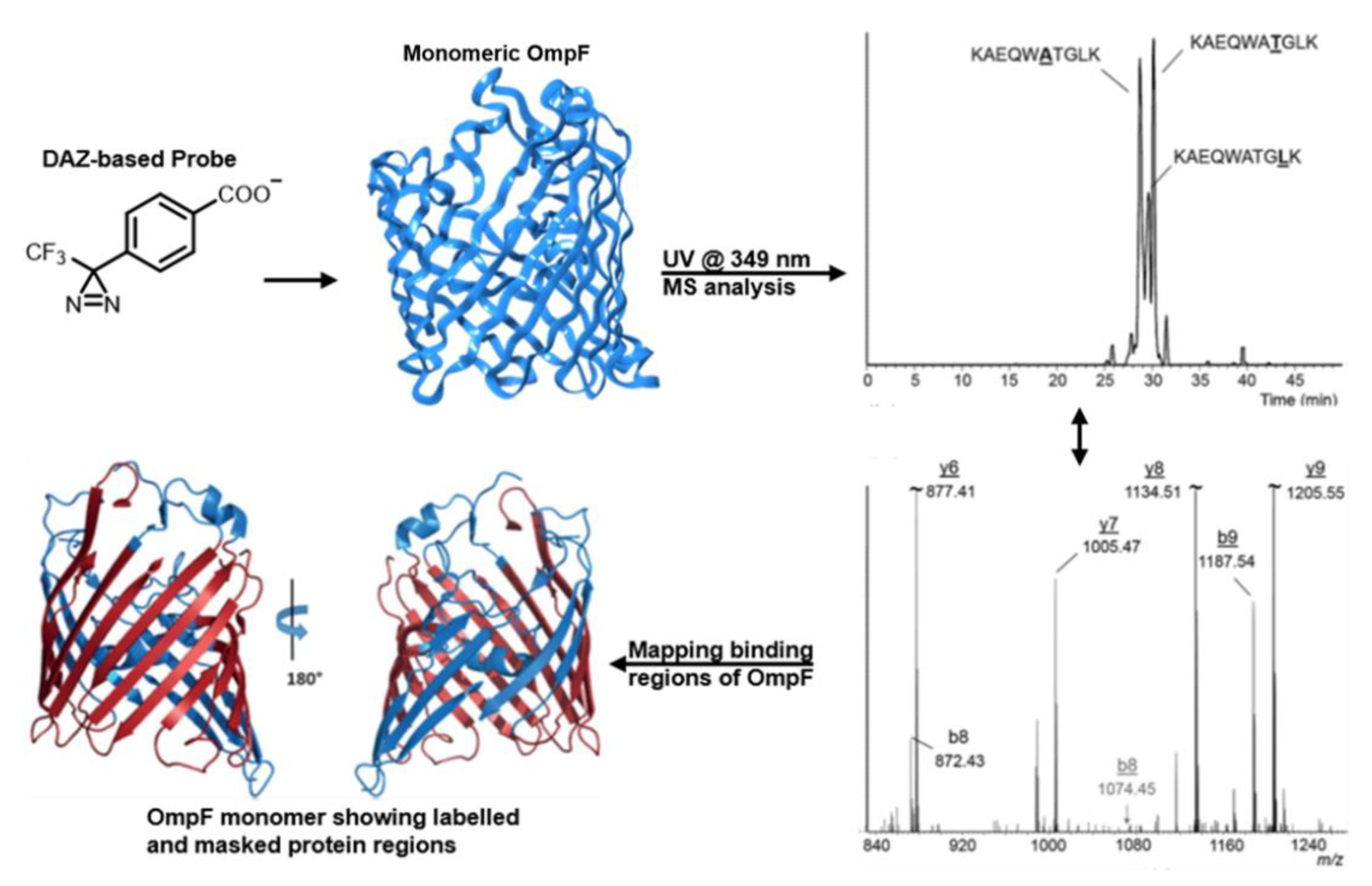 Molecules 25 02285 g017 Molecules 25 02285 g017