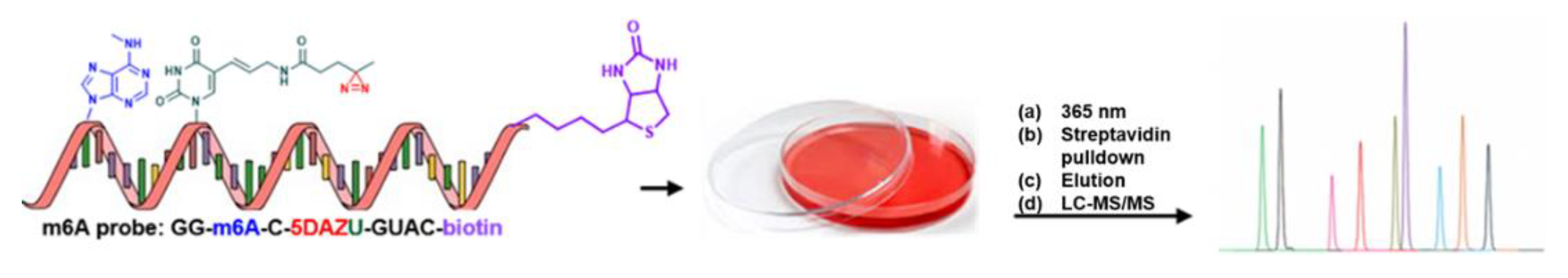 Molecules 25 02285 g018 Molecules 25 02285 g018