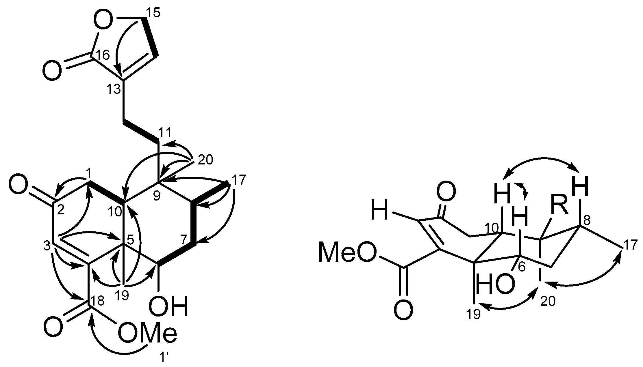 Molecules 25 02288 g002 Molecules 25 02288 g002
