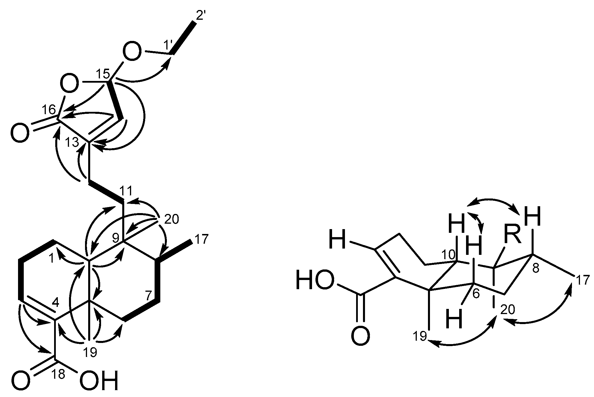 Molecules 25 02288 g003 Molecules 25 02288 g003