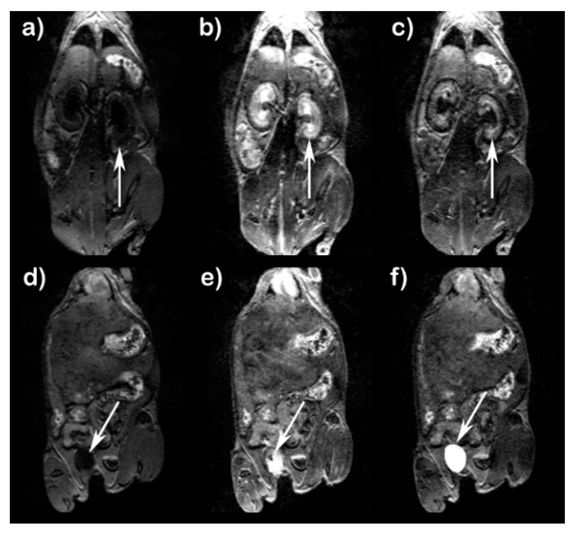 Molecules 25 02291 g005