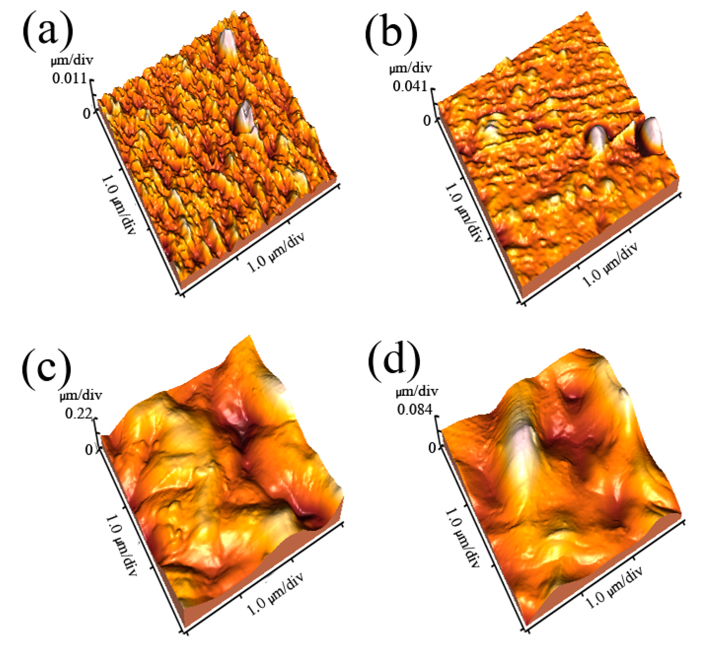 Molecules 25 02292 g003