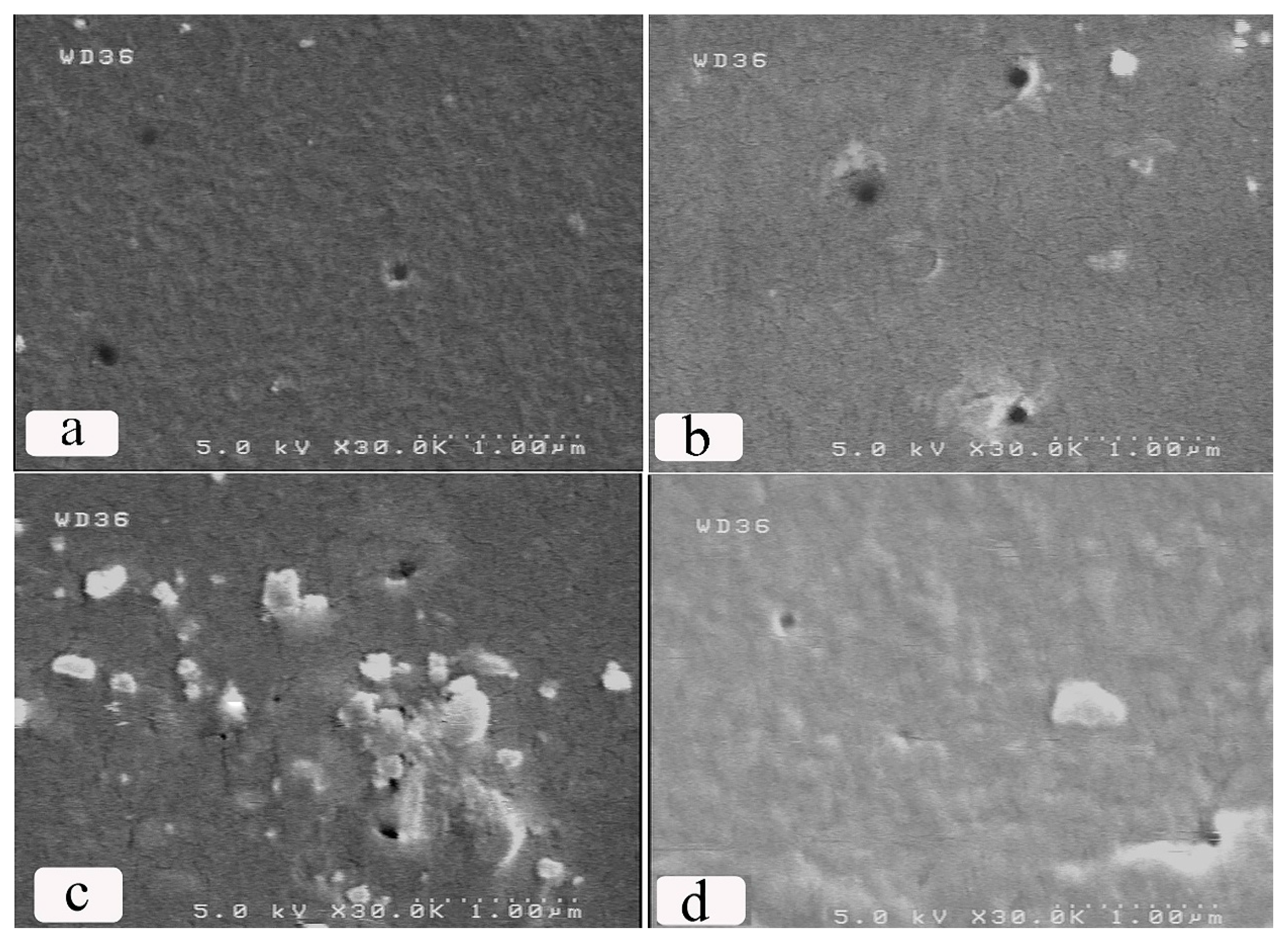 Molecules 25 02292 g005