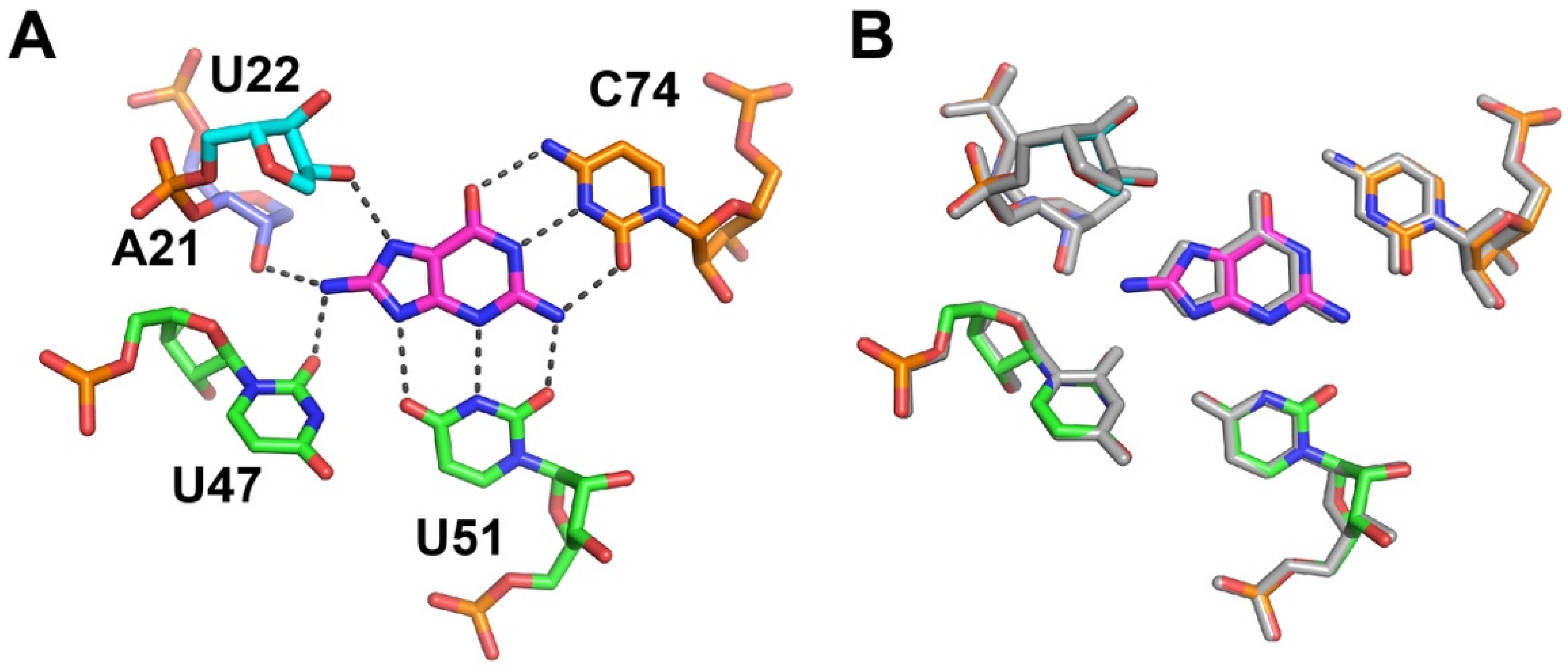 Molecules 25 02295 g002