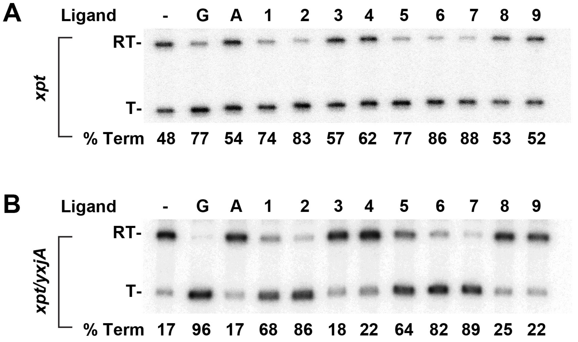 Molecules 25 02295 g005