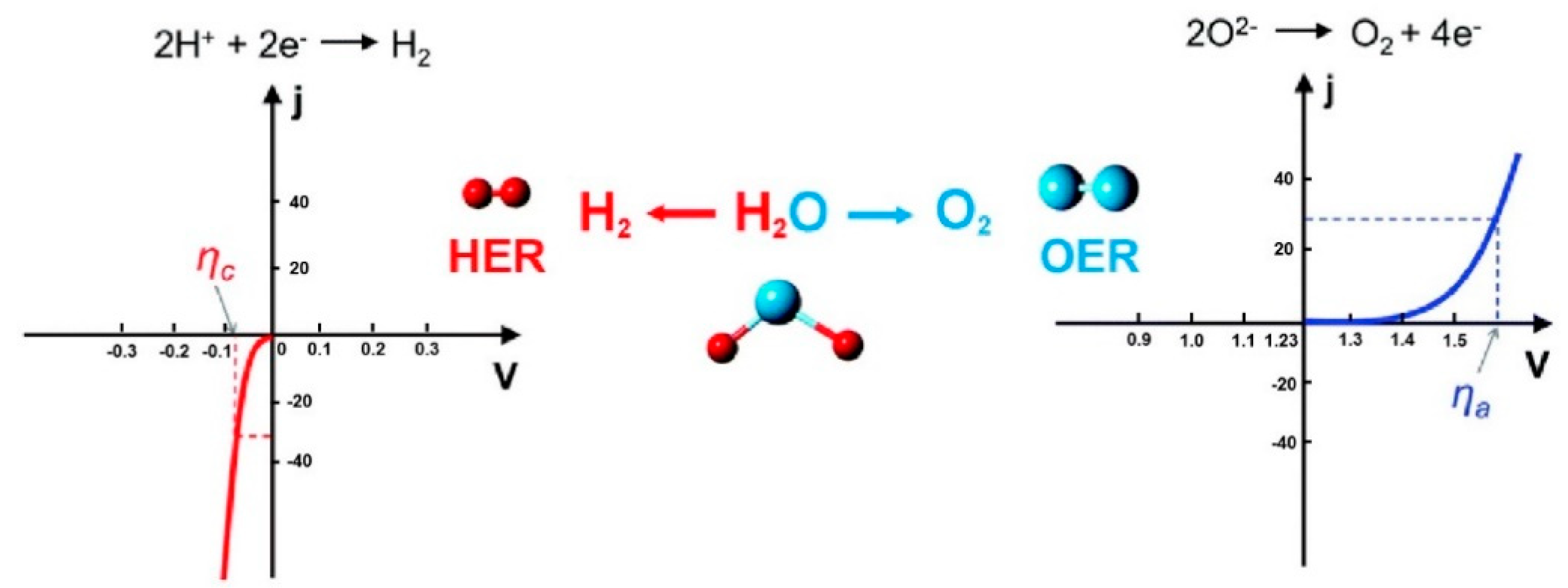 Molecules 25 02304 g001 Molecules 25 02304 g001