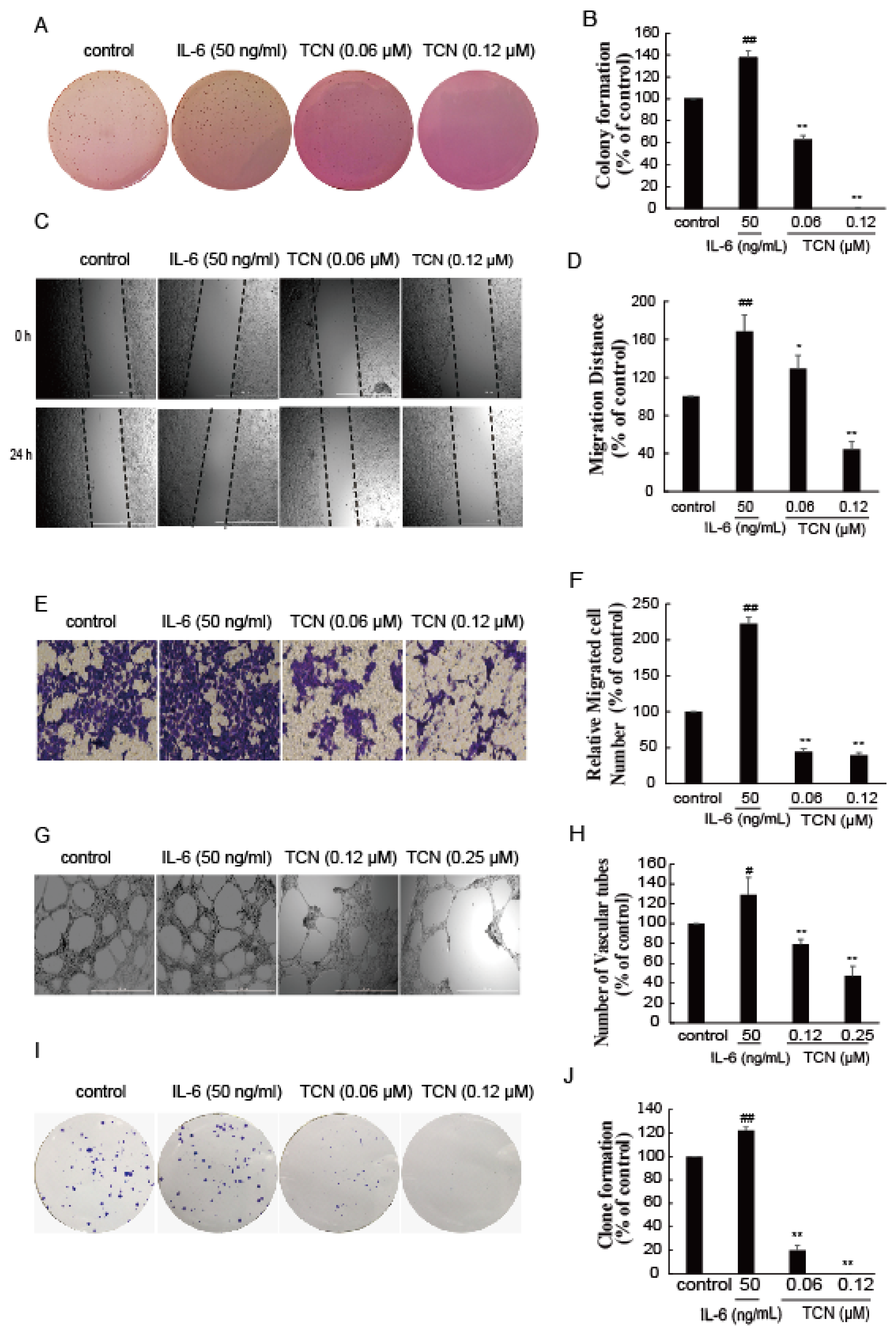 Molecules 25 02306 g006