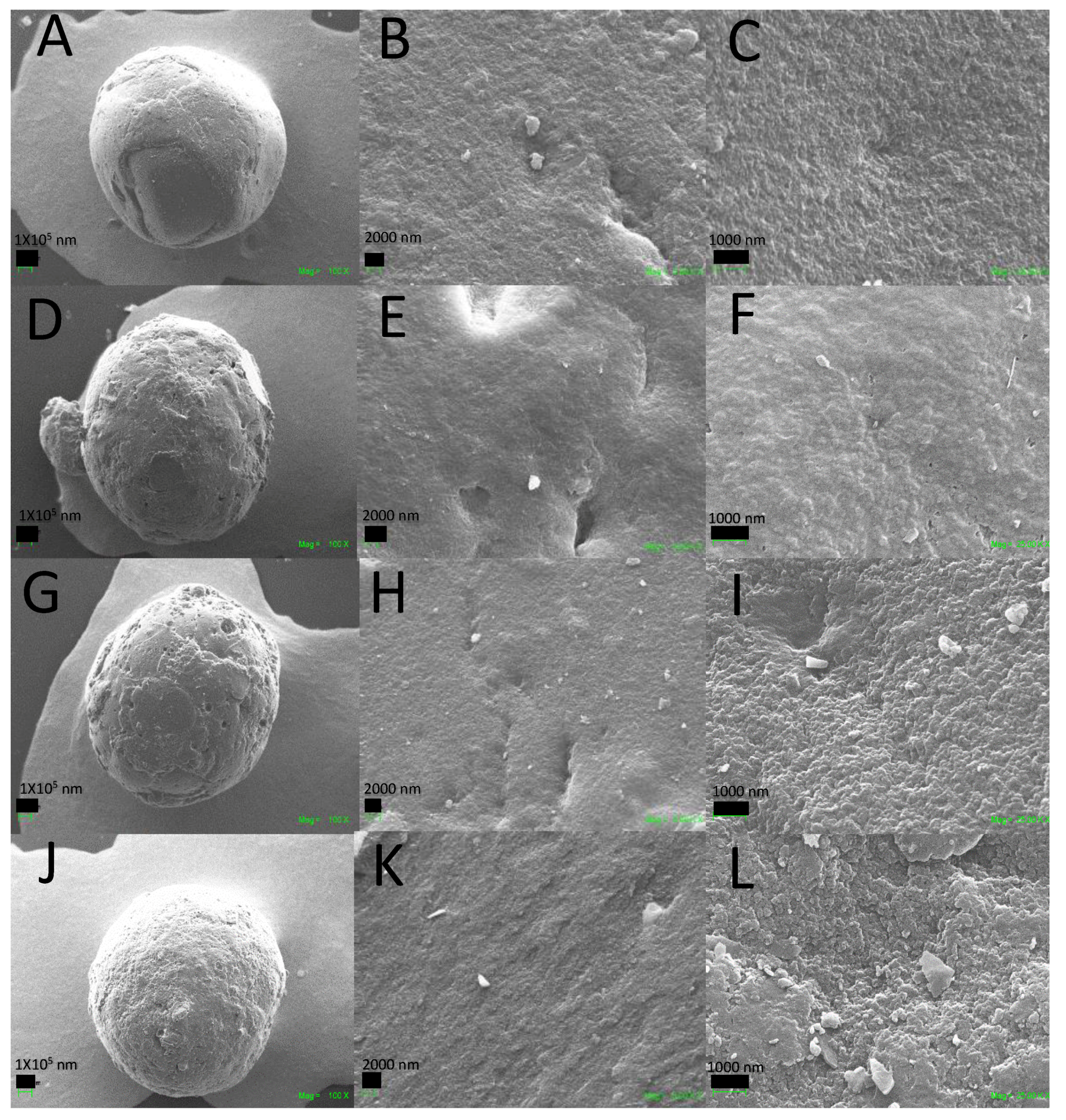 Molecules 25 02308 g005 Molecules 25 02308 g005