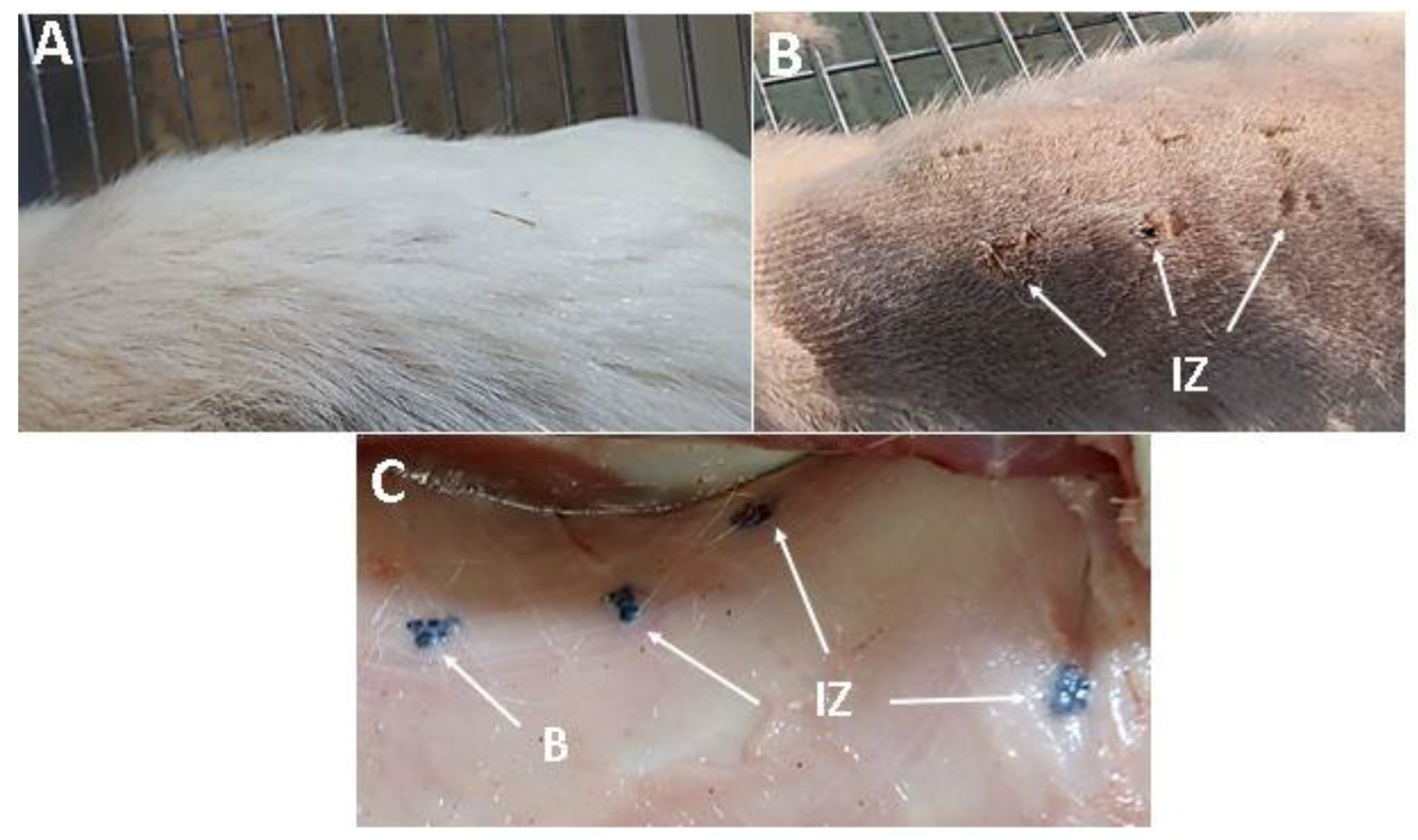 Molecules 25 02308 g008 Molecules 25 02308 g008