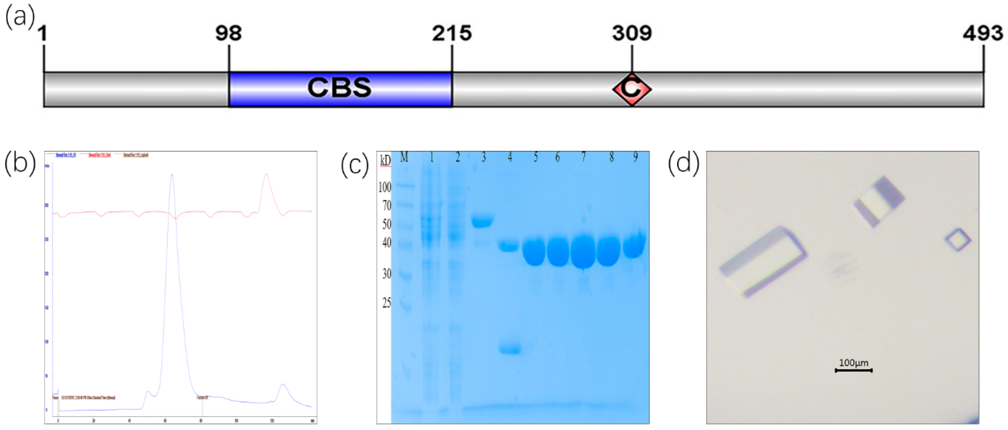 Molecules 25 02313 g001 Molecules 25 02313 g001