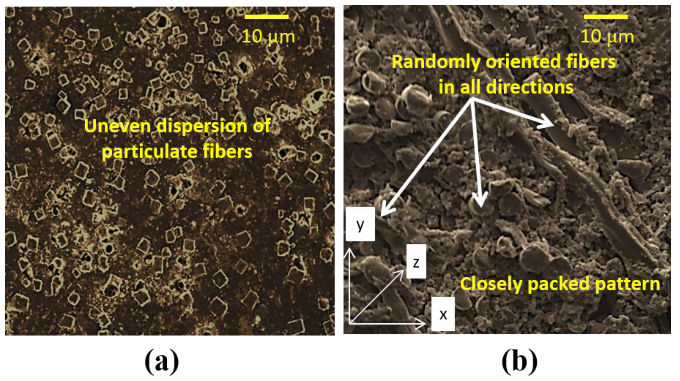 Molecules 25 02325 g002