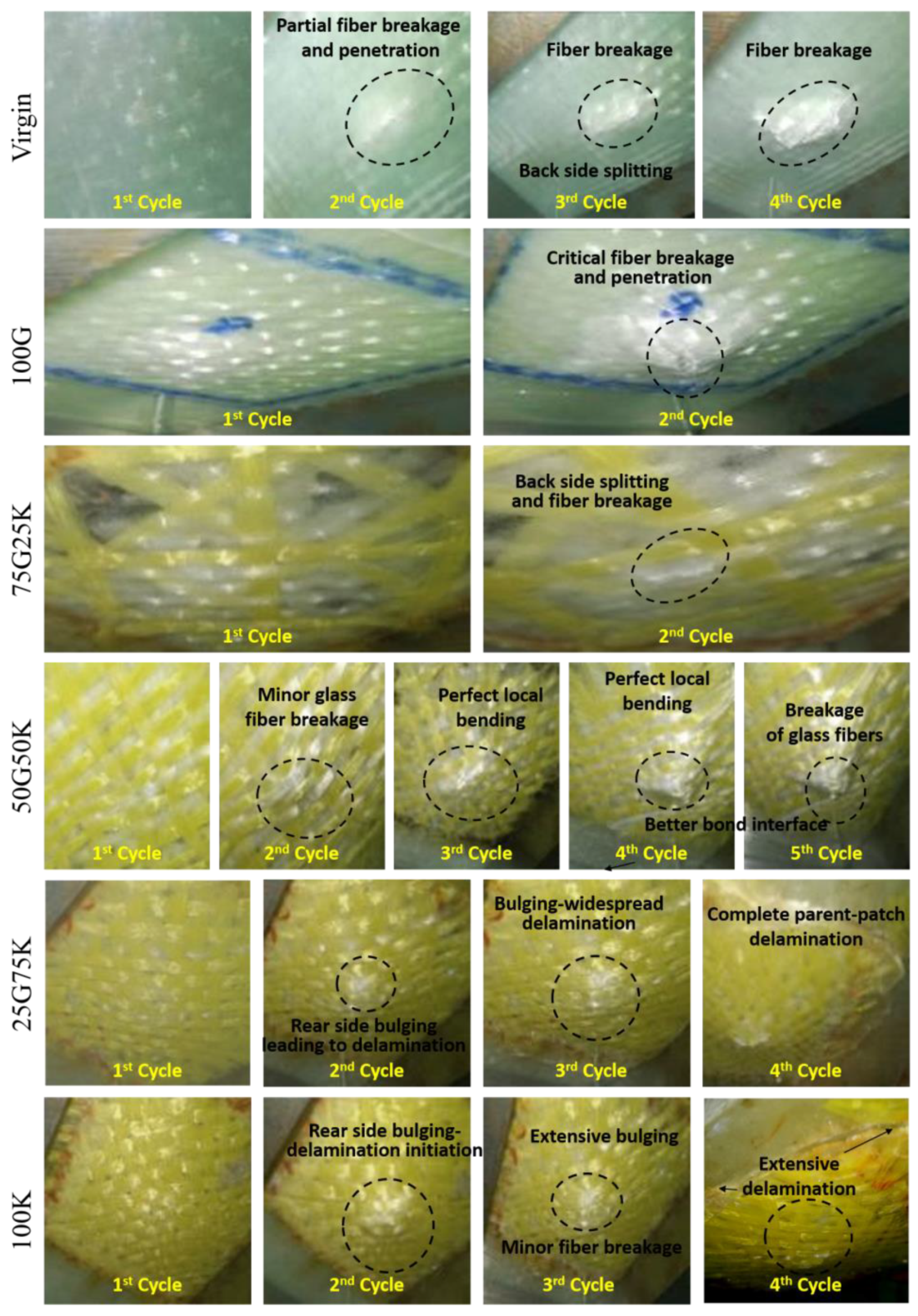 Molecules 25 02325 g007