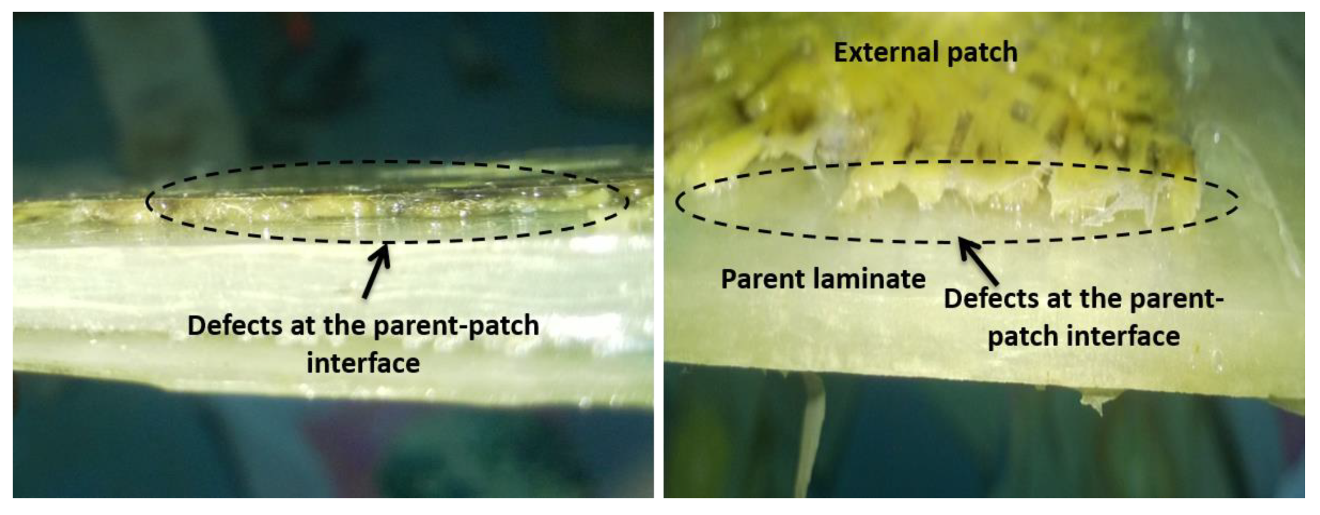 Molecules 25 02325 g009