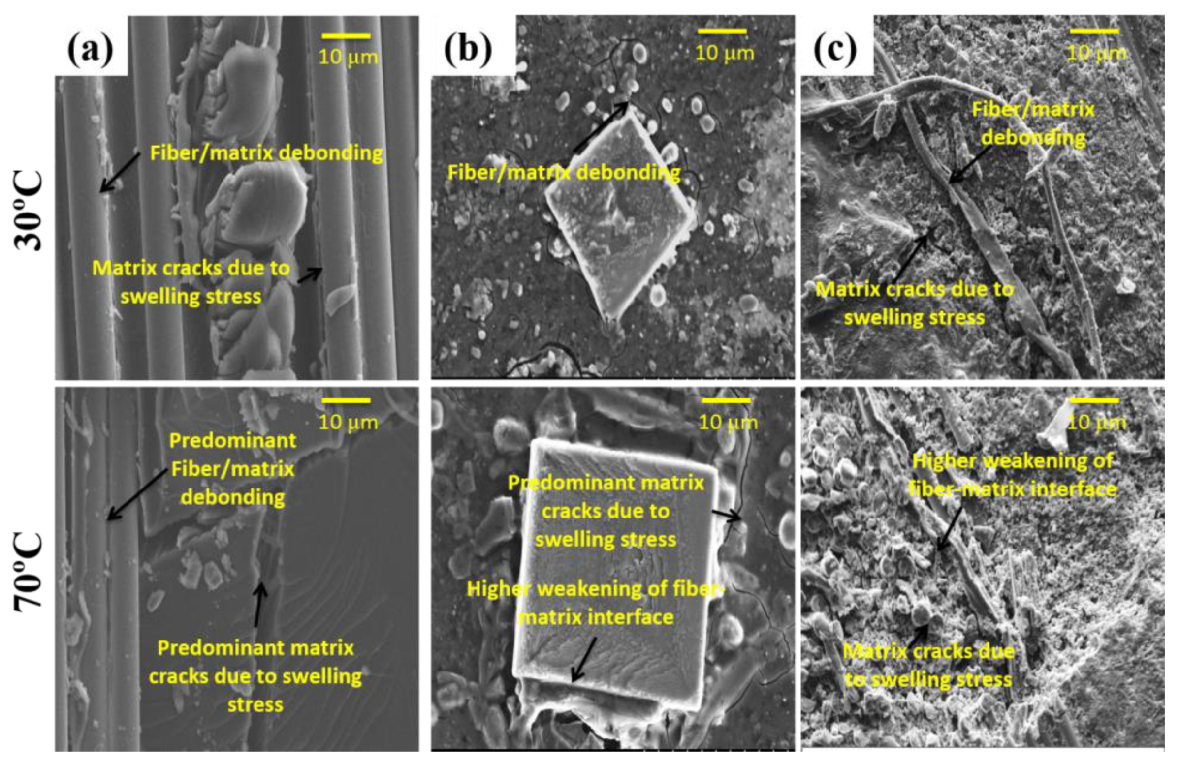 Molecules 25 02325 g010