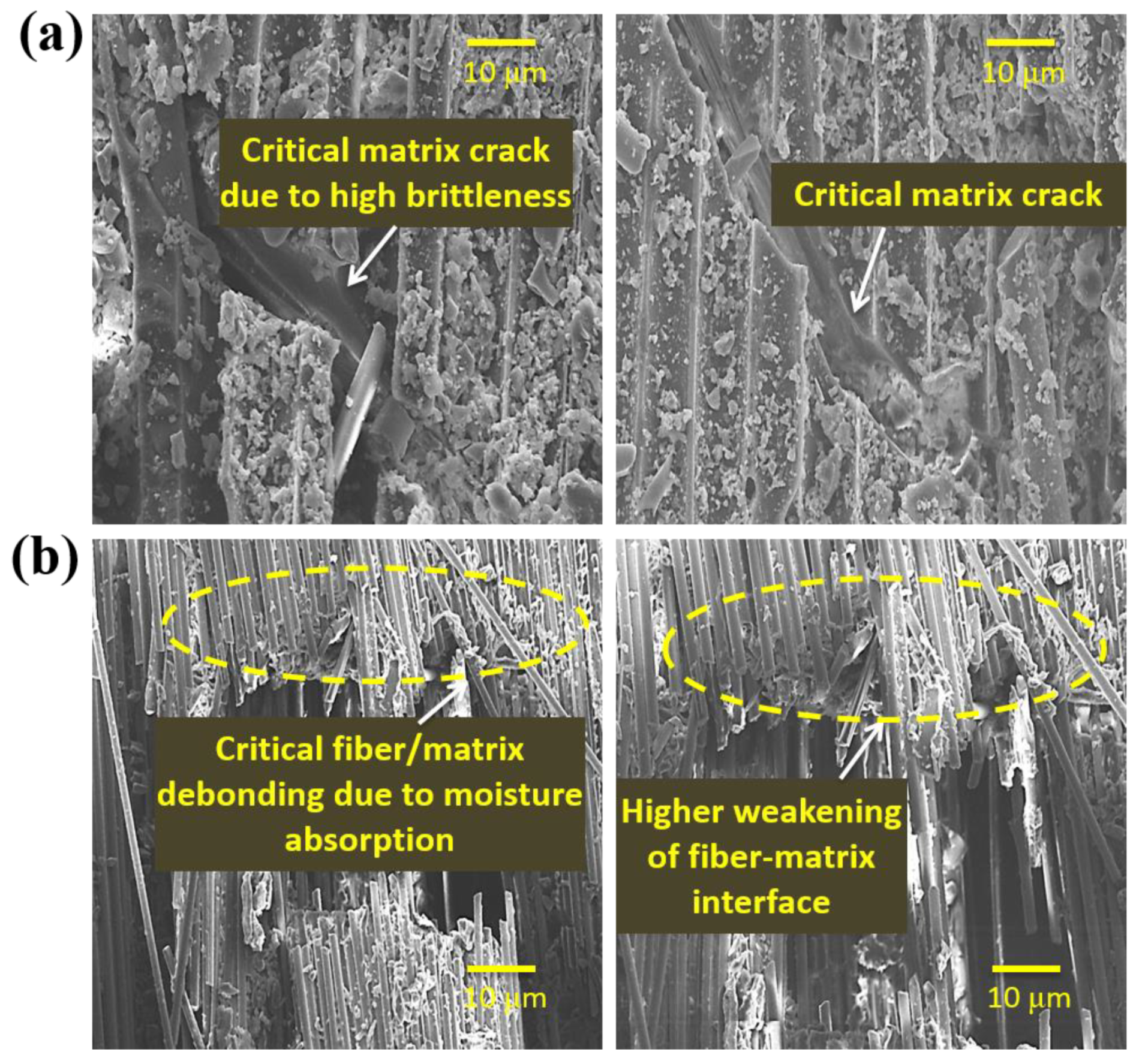 Molecules 25 02325 g013