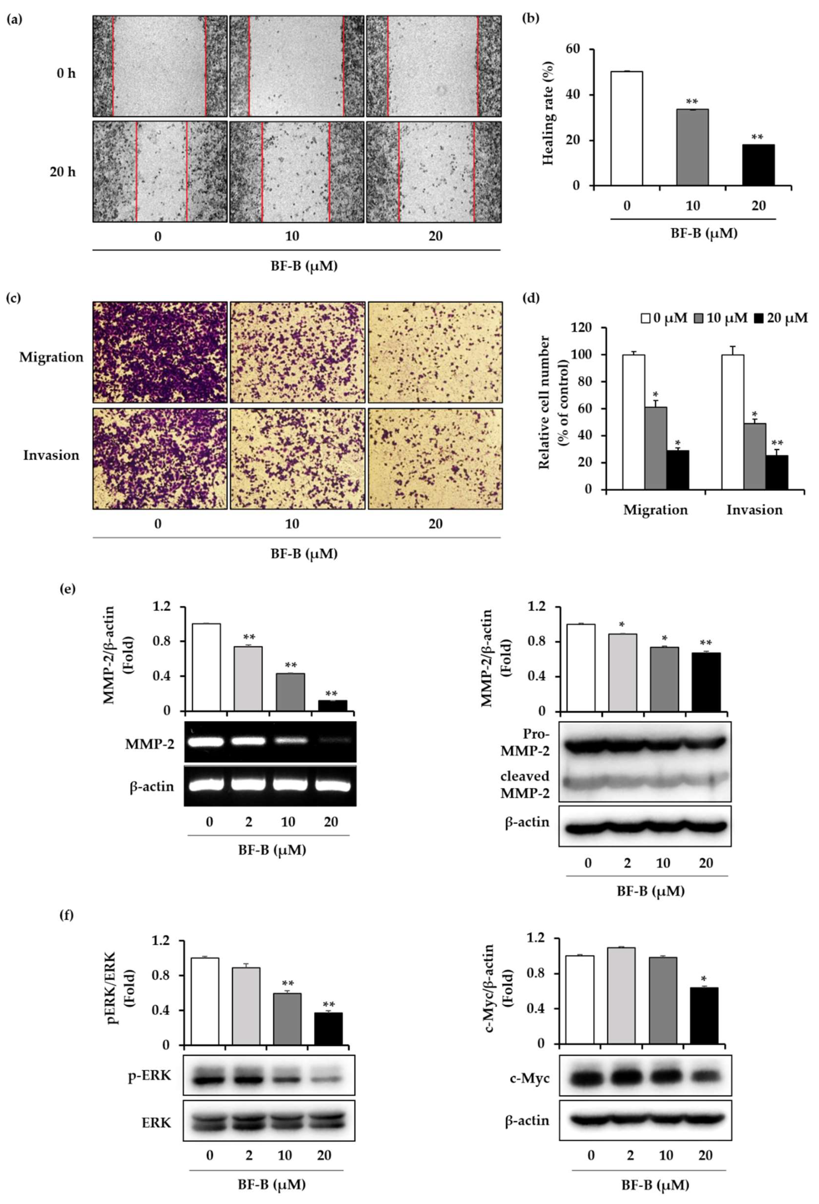 Molecules 25 02328 g005