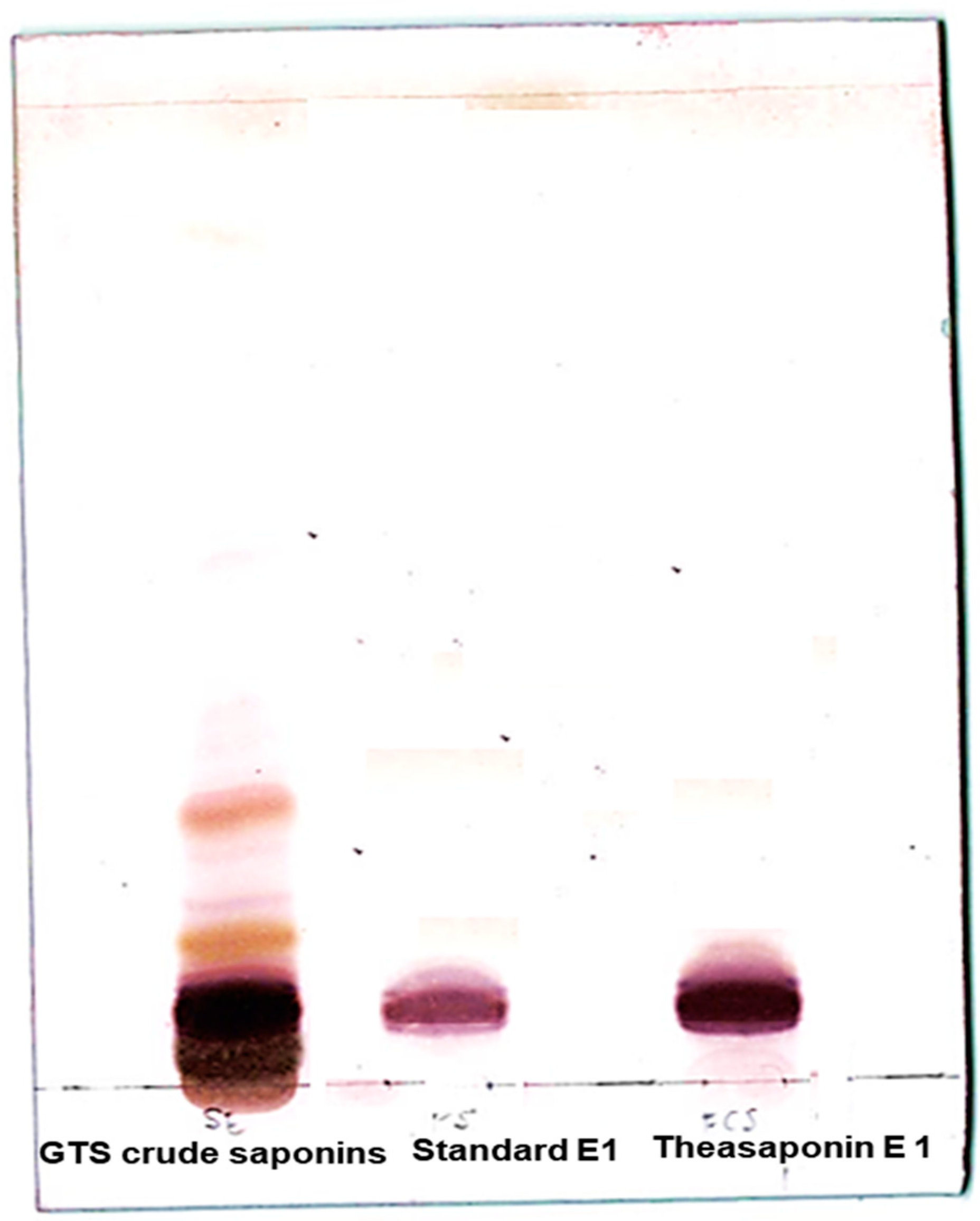 Molecules 25 02334 g002 Molecules 25 02334 g002