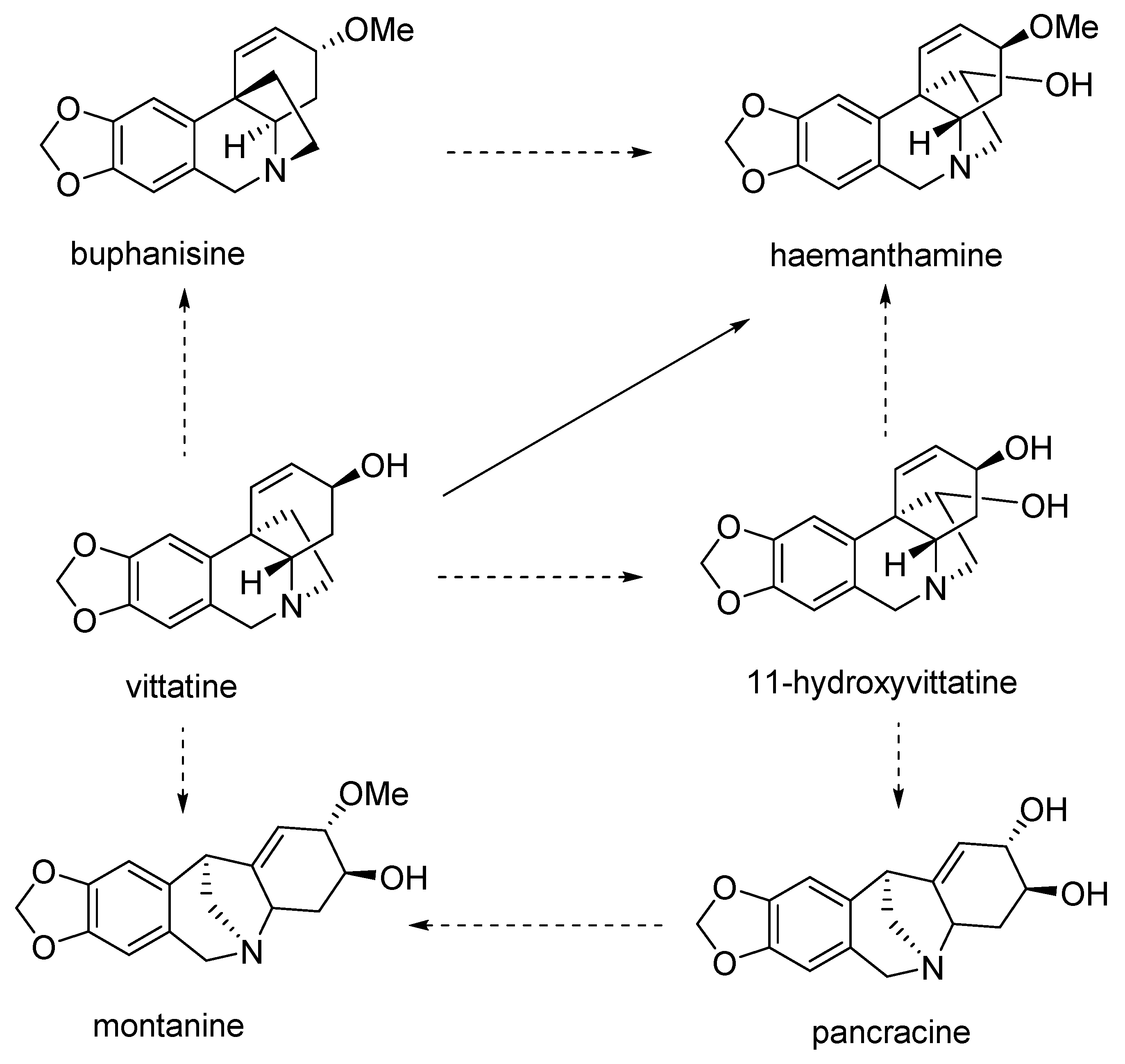 Molecules 25 02337 g002