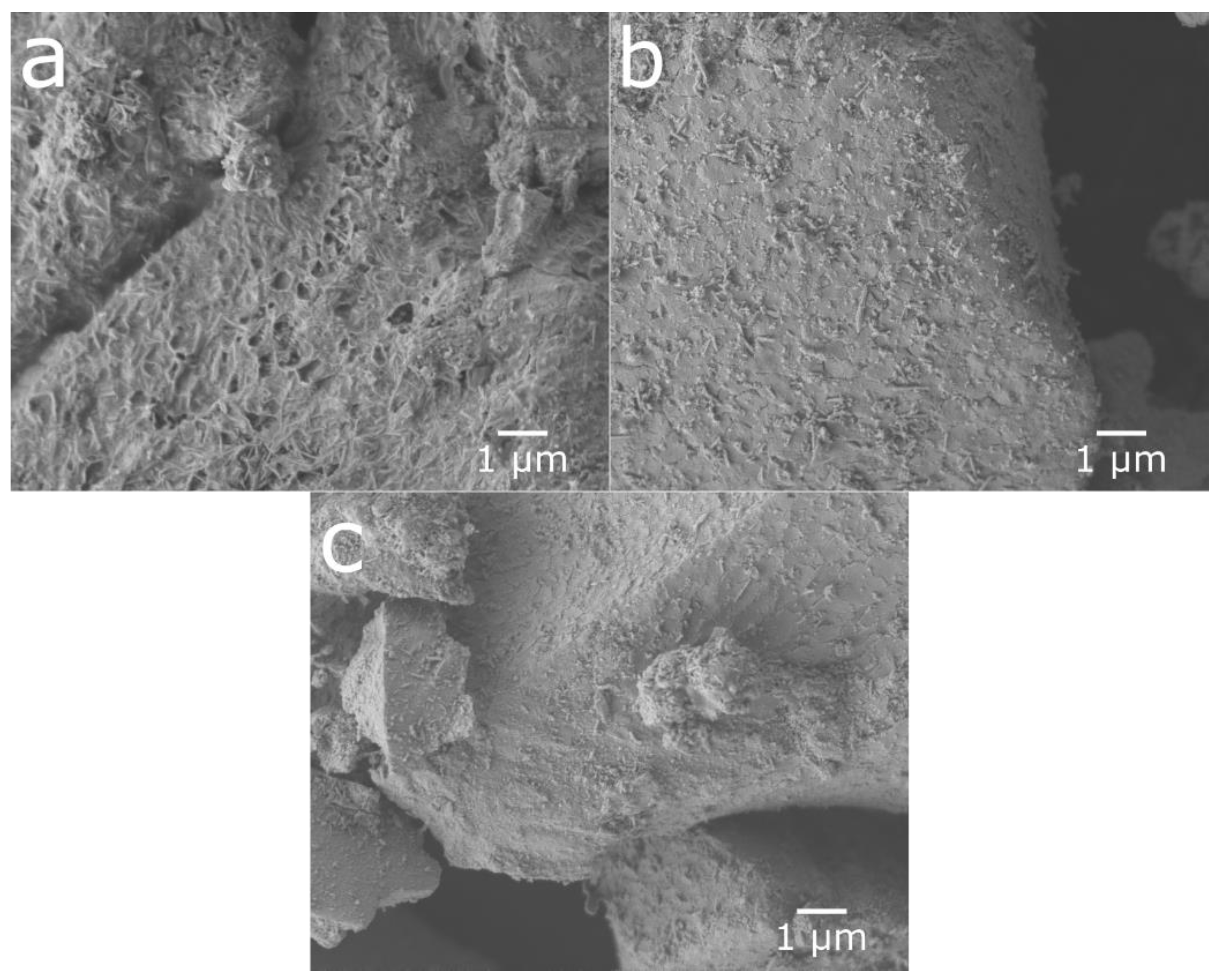 Molecules 25 02338 g004