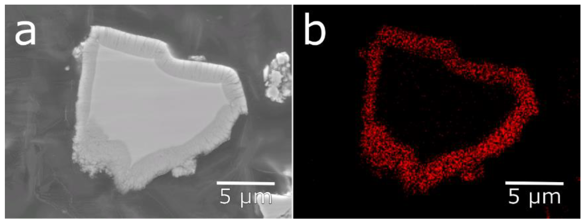 Molecules 25 02338 g007