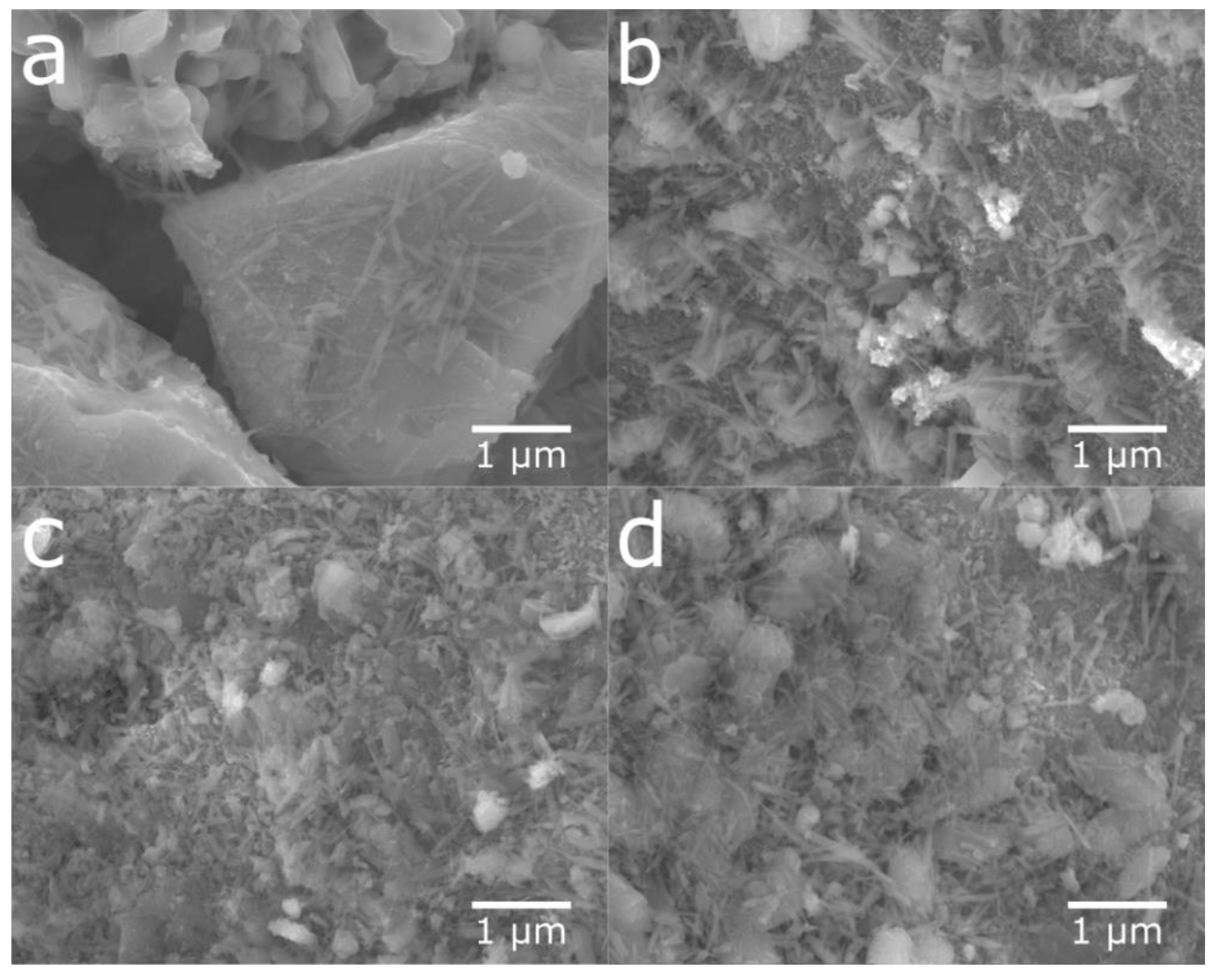 Molecules 25 02338 g015