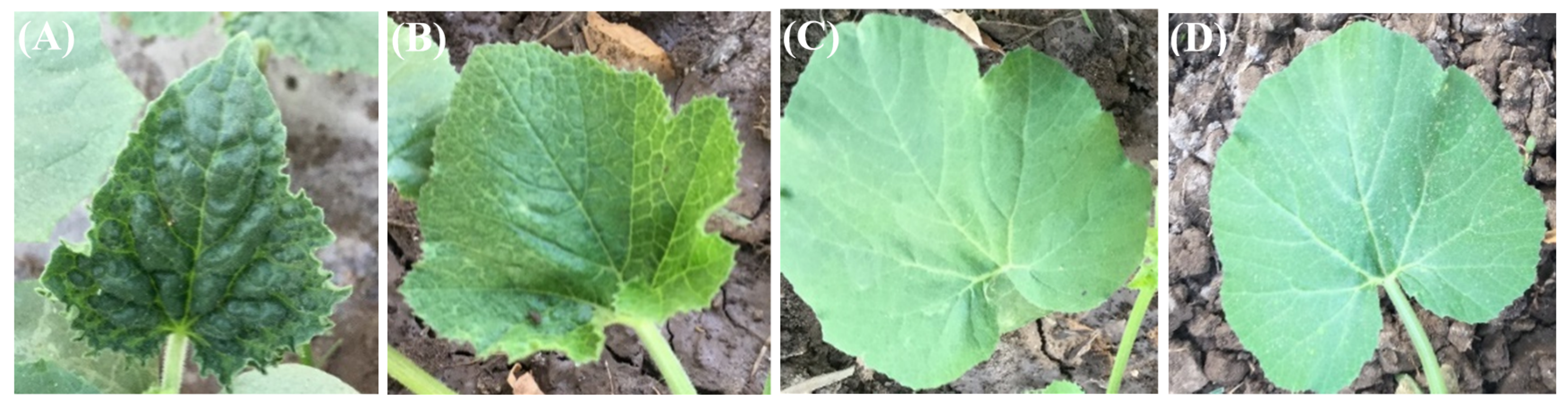 Molecules 25 02341 g001 Molecules 25 02341 g001