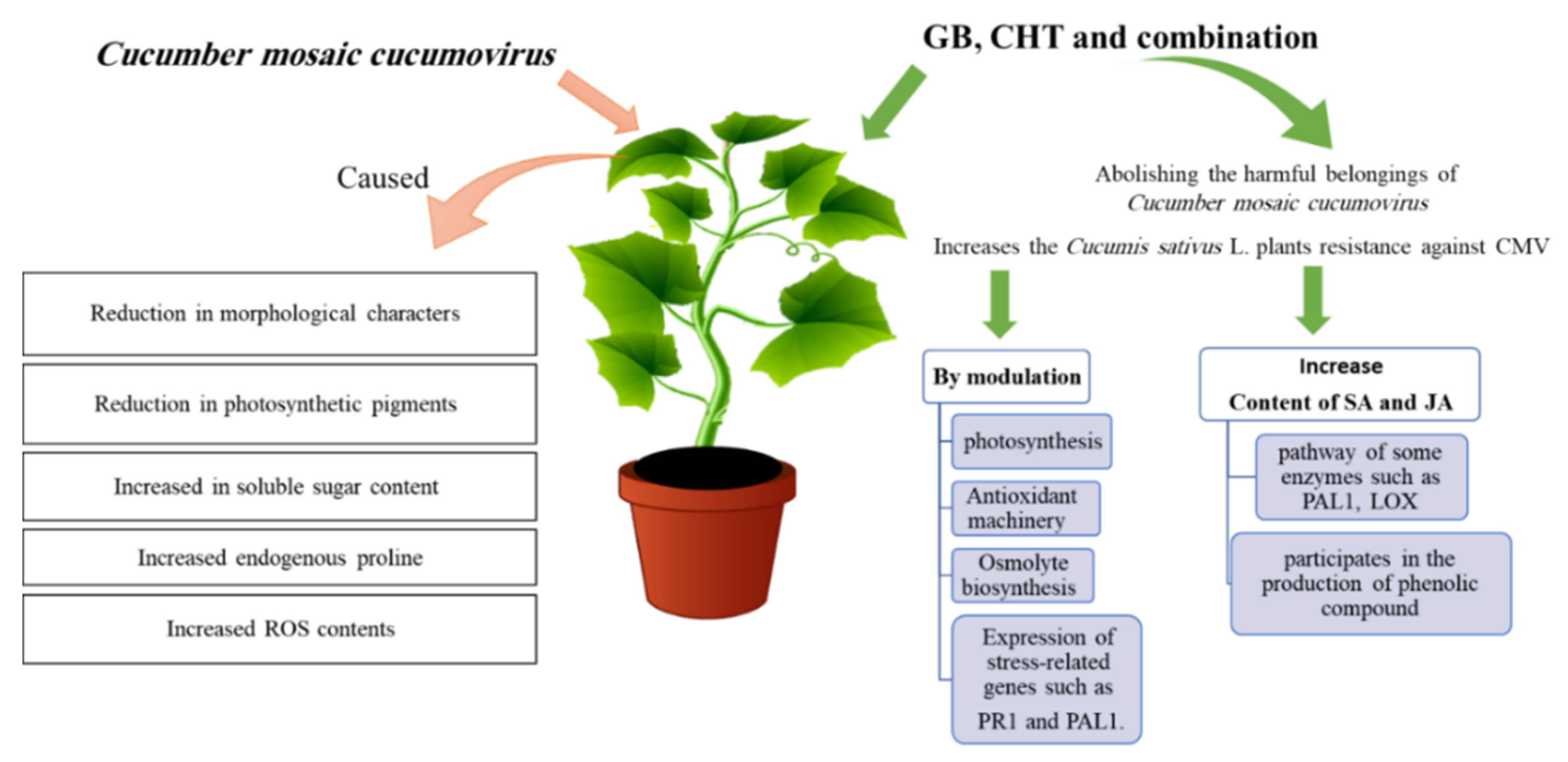 Molecules 25 02341 g010 Molecules 25 02341 g010