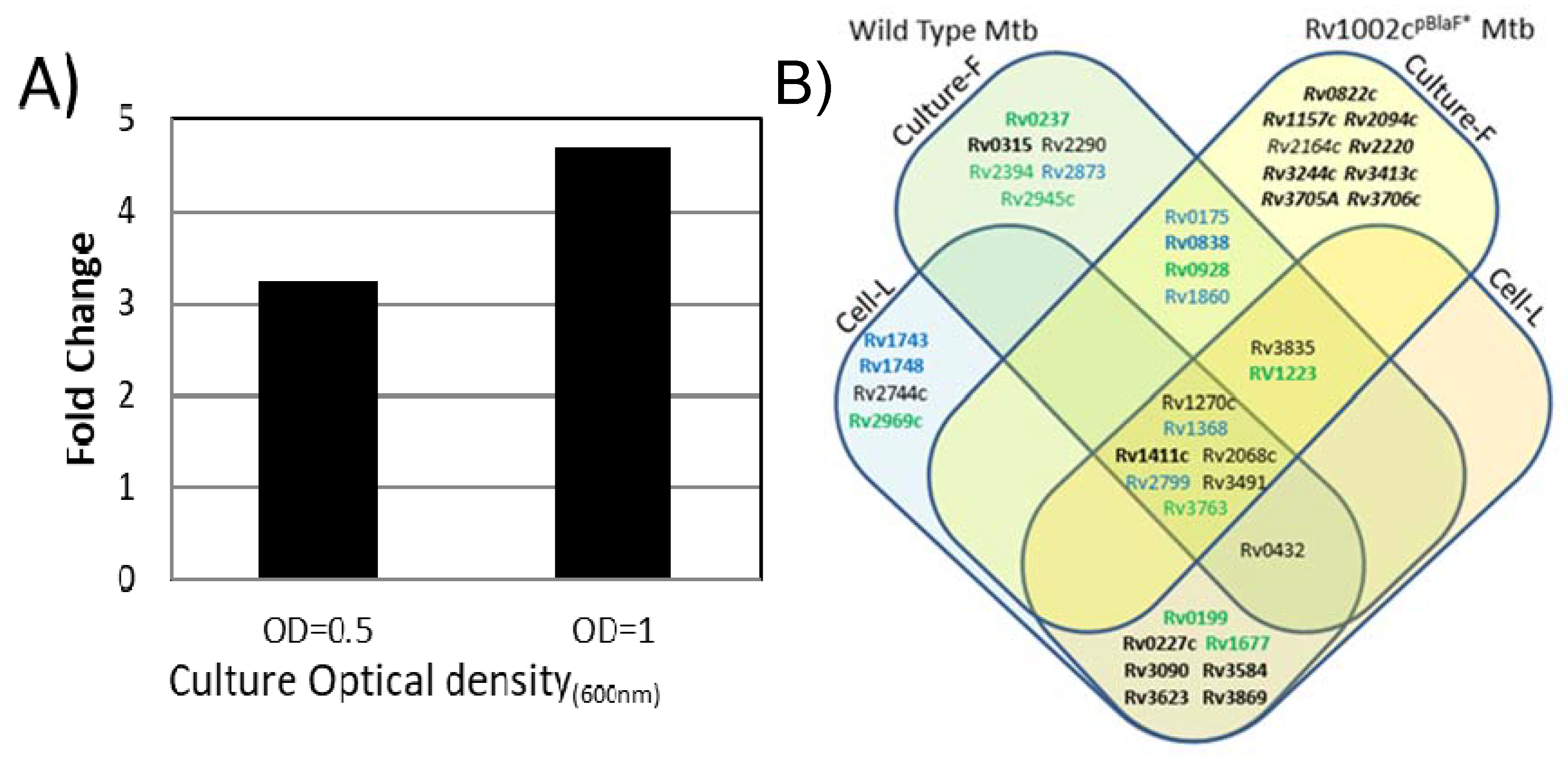 Molecules 25 02348 g004
