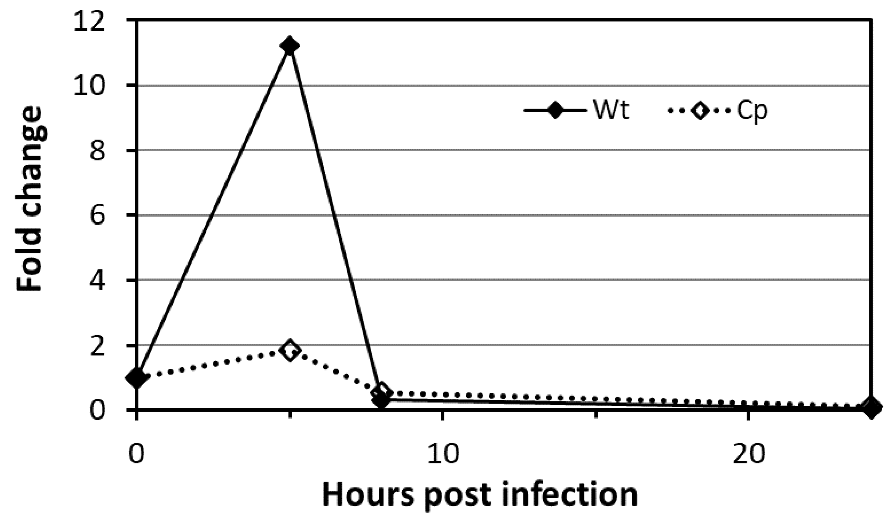 Molecules 25 02348 g005