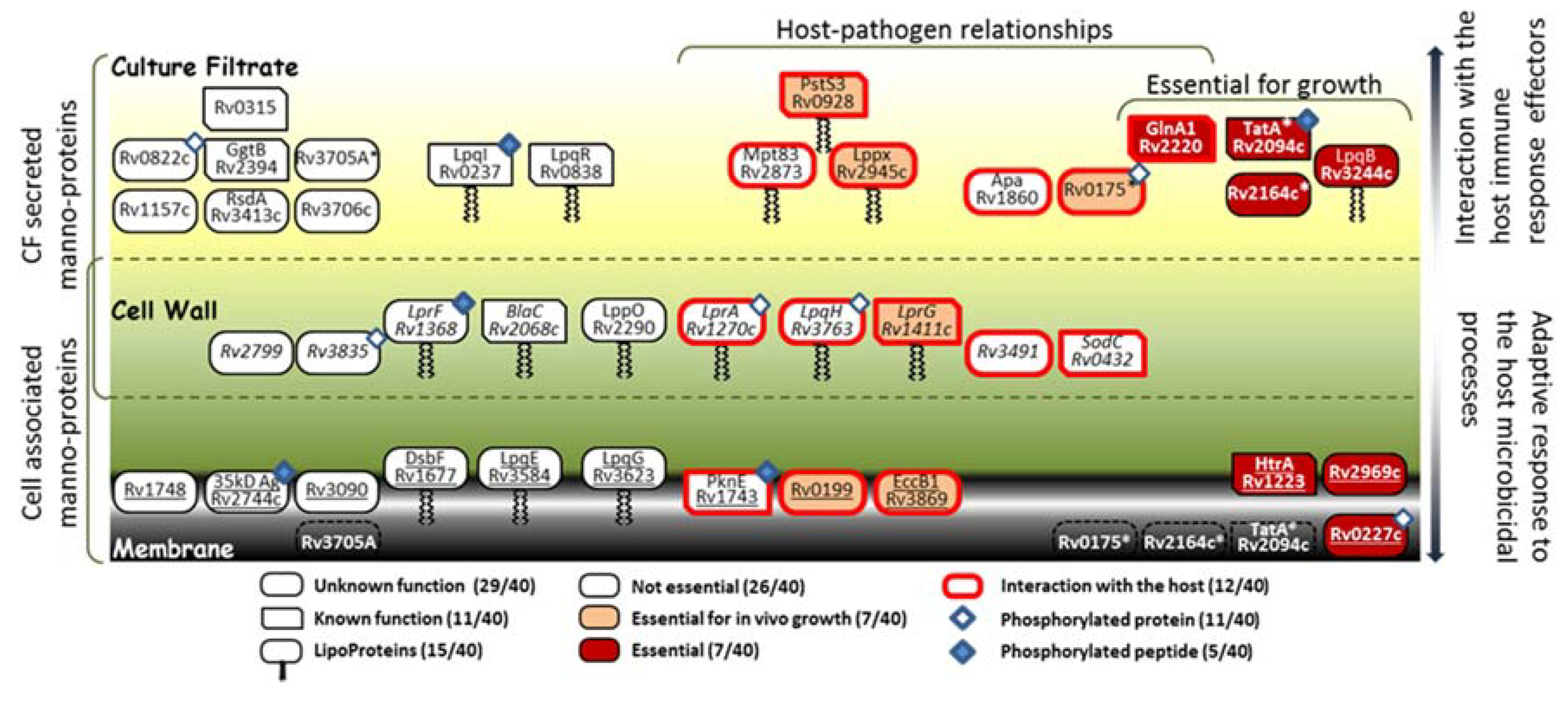 Molecules 25 02348 g006