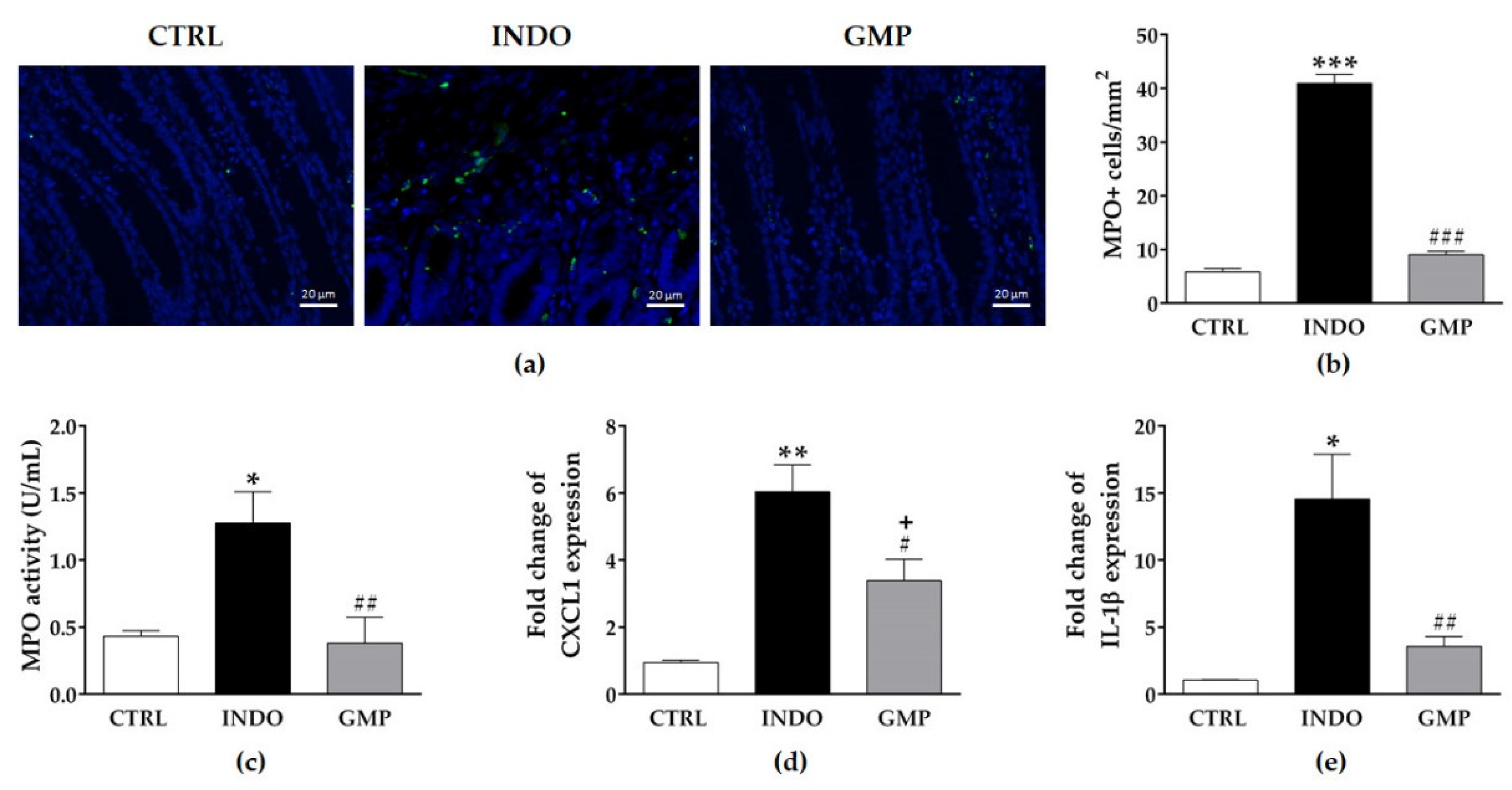 Molecules 25 02351 g004